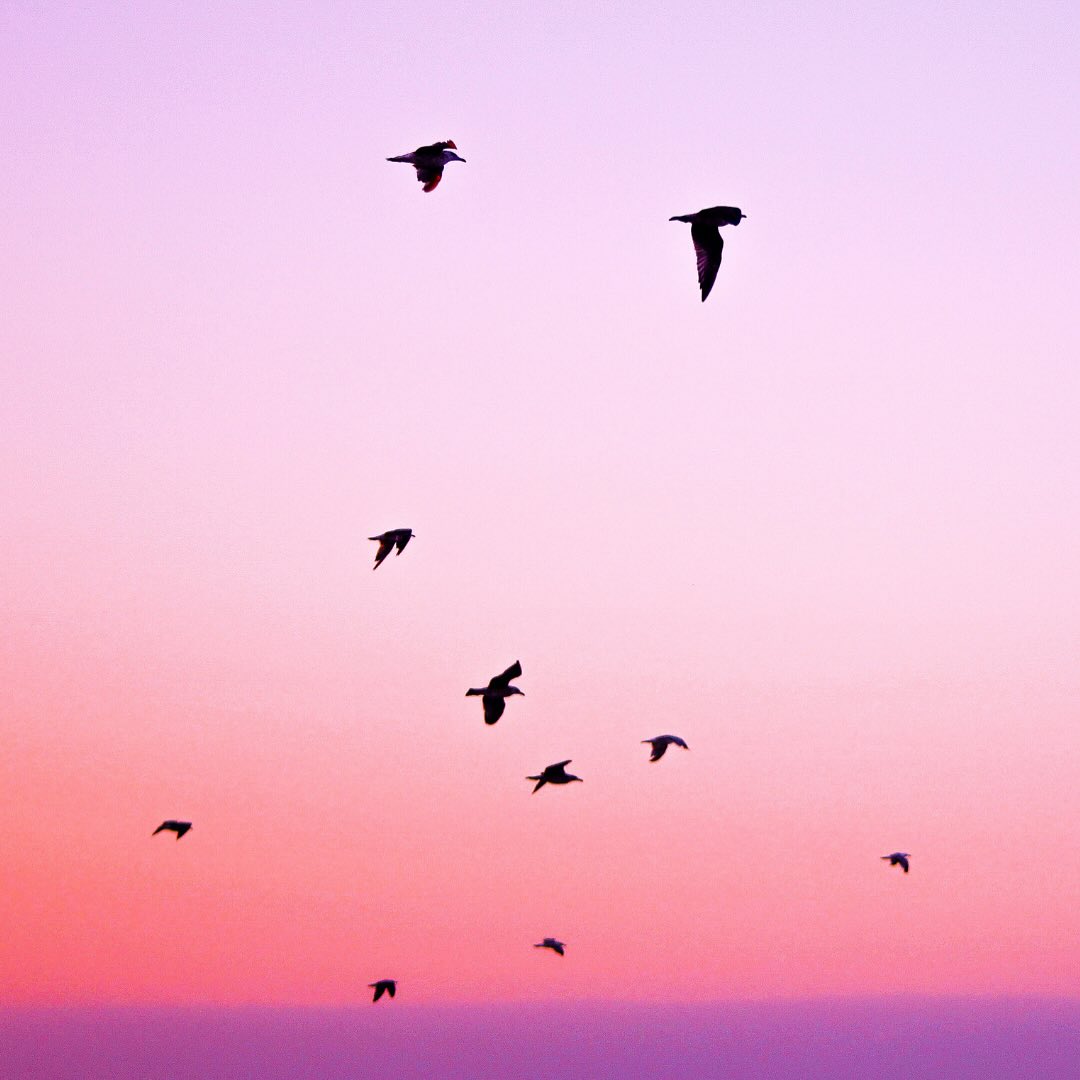 ✨ Et si vous décidiez de vous libérer… vraiment ?
Vous avez peut-être appris à tout garder pour vous.
À avancer malgré les peurs, le stress, les blessures invisibles.
À sourire… même quand à l’intérieur, ça tremble.
Mais il arrive un moment où le corps parle.
Où les émotions débordent.
Où vous sentez qu’il est temps.
Temps de revenir à vous. De vous écouter.
De libérer ce qui ne vous appartient plus.
🌿 L’EFT (Emotional Freedom Techniques) est une méthode douce, puissante,
qui vous aide à déposer ce poids invisible.
À reconnecter le corps, le cœur et l’esprit.
À apaiser, transformer, reconstruire.
Travailler sur soi, ce n’est pas être “cassé”.
C’est choisir d’évoluer. De s’alléger.
De mieux se comprendre… pour mieux s’aimer.
💫 C’est un chemin. Le vôtre.
Et il commence par un pas : oser.
🌸 Vous êtes prêt.e ? Je vous accompagne.
📍 Maison de santé de Boulange
4 rue de Ludelange - 57655 BOULANGE
📍BELVAL
1 Avenue du Blues - L - 4368 SANEM LUXEMBOURG
📞 Vous pouvez me contacter par SMS ou WhatsApp:
🇫🇷 France : 06 95 13 45 85
🇱🇺 Luxembourg : 621 21 57 93
📨 lysetvosemotions@gmail.com
✨ sur rendez-vous uniquement