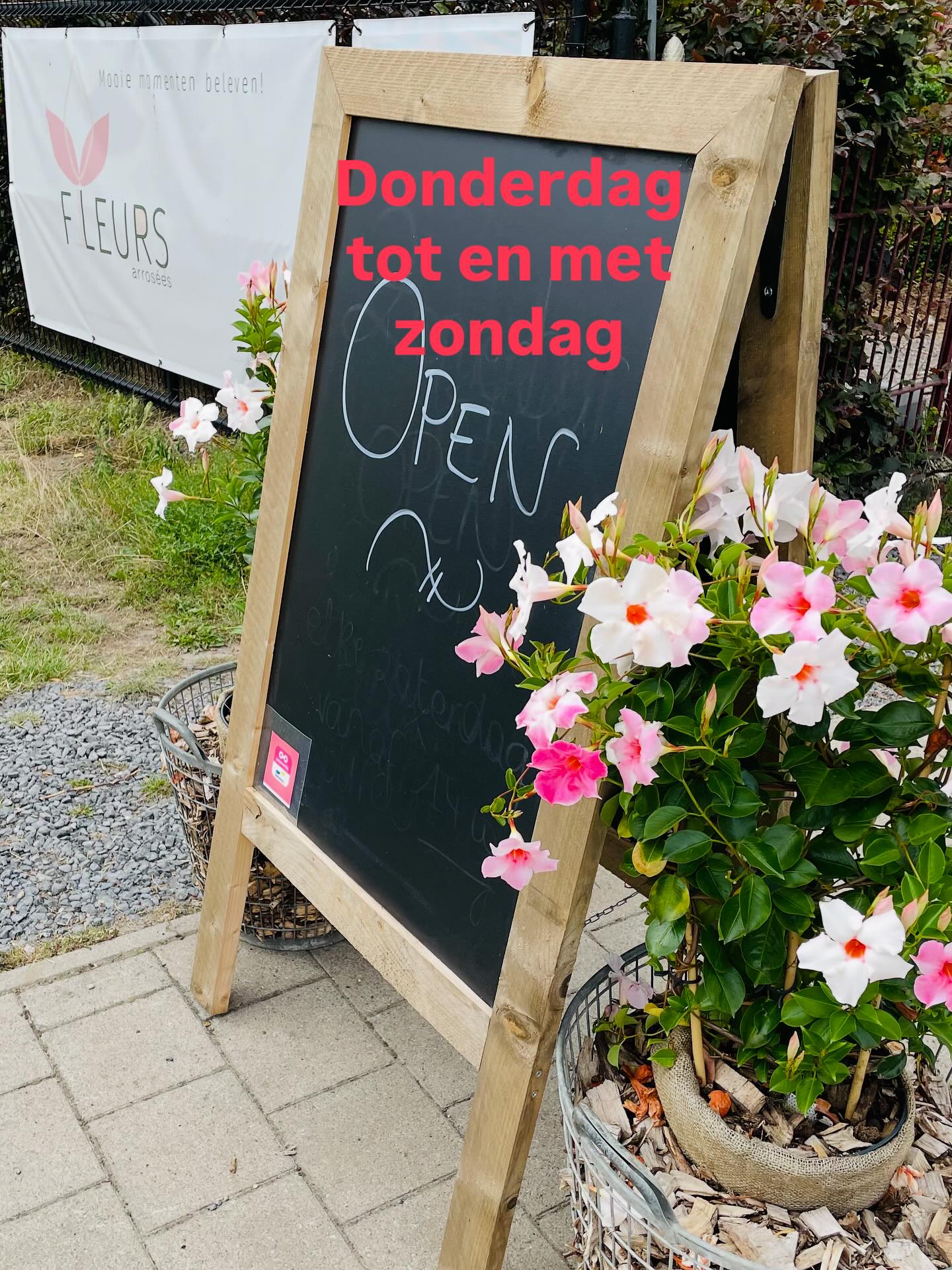 Welkom!
Zomerbar - donderdag tot en met zondag ๐ธ๐๐ฅ