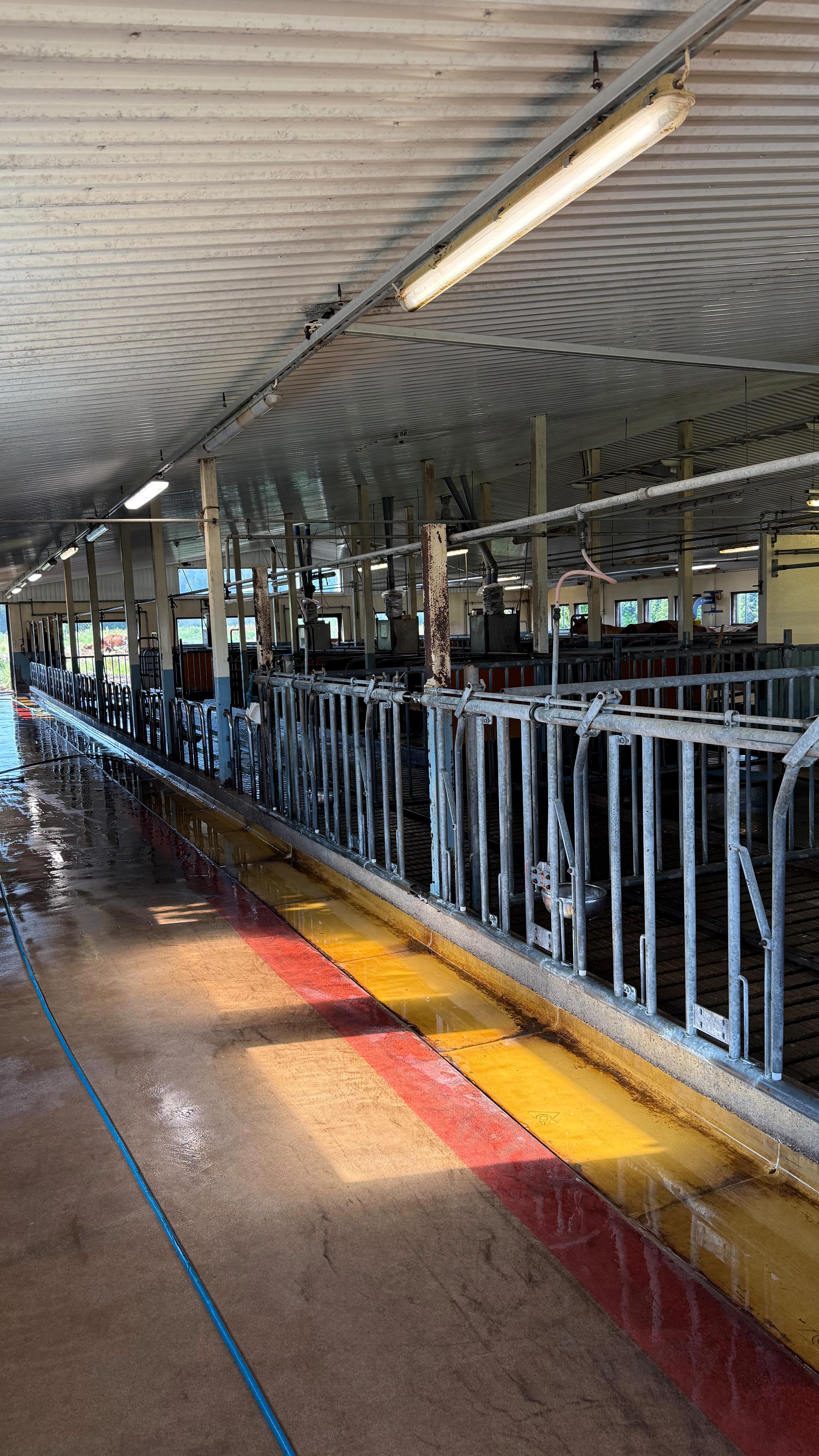 Tätä navettaa olemme pesseet kolmesti. Viime kerrasta oli aikaa jo 3-vuotta ja tällä viikolla kävimme jälleen pesemässä tämän.