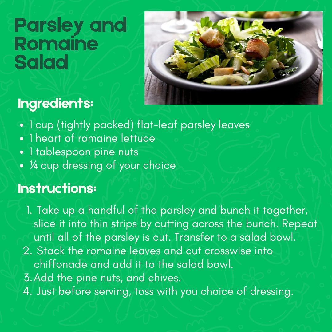 This week’s PACT recipe is a fresh and simple Parsley & Romaine Salad. It’s crisp, green, and garden-approved! 🥗🌿 #PACTRecipe #GardenToTable
