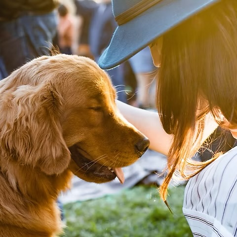 NEW IN 👉🏻 Ausbildung zum Besuchshund 🐕
Ab sofort bilden wir bei JustHelp Besuchshunde aus! 🤩
Genial oder? Finden wir auch! 😁
Bist du an einer Ausbildung zum Besuchshund interessiert? Dann slide in unsere DMs oder fülle das Kontaktformular auf unserer Website aus.
#justhelpberlin #hundeschule #dogschool #hundetraining #dogtraining #besuchshund #ausbildungzumbesuchshund #berlin #großbeeren #dogtrainersofinstagram #dogtrainingisfun #dogtrainingclasses #seminare #webinare #hundeglück #doglovers #fürdichunddeinenhund