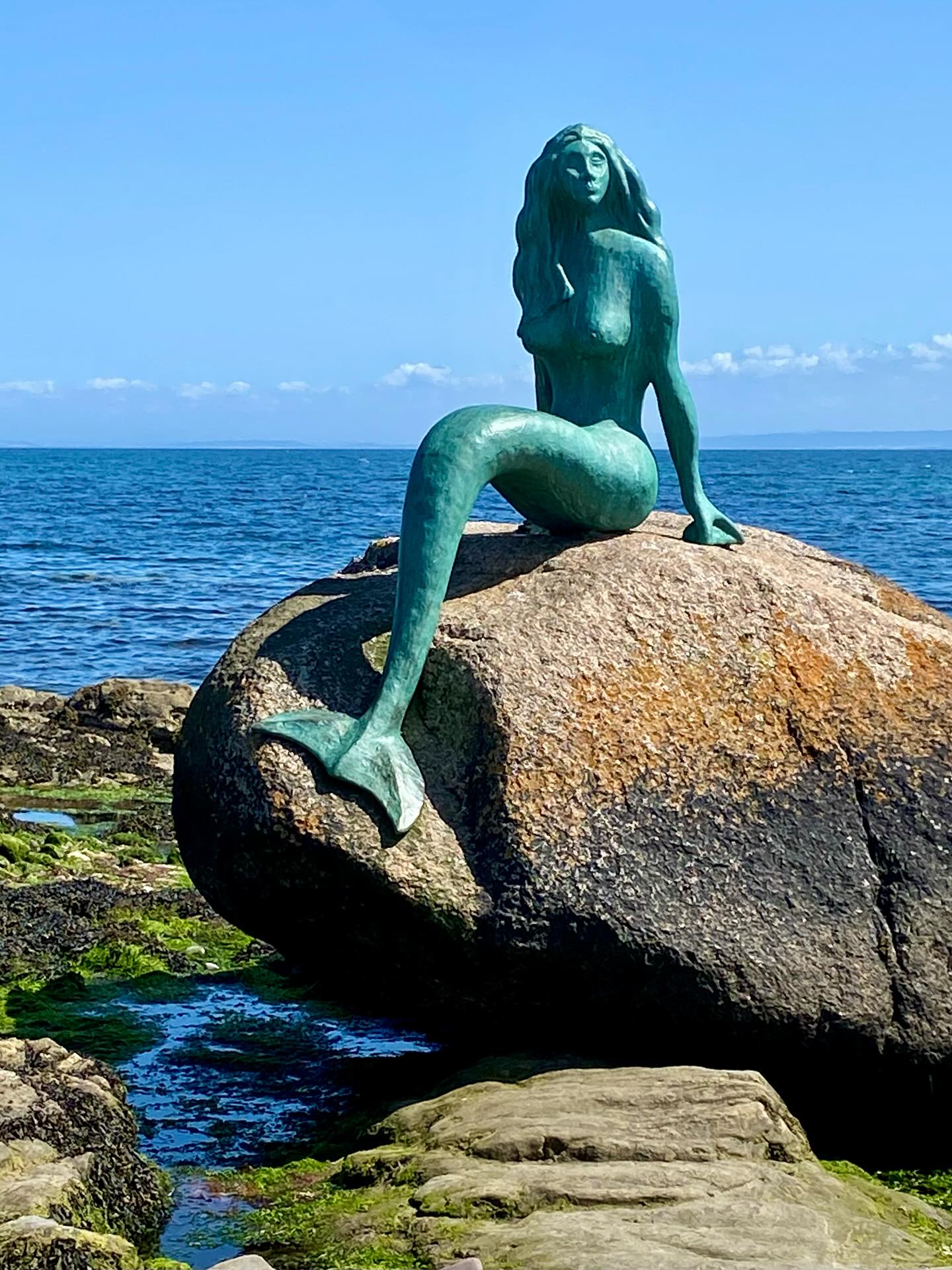Mermaid of The North looking pretty cosy earlier this week - let’s hope she’s got her Factor 50 on! #mermaidofthenorth #hiltonbalintore #nc500 #nc500scotland