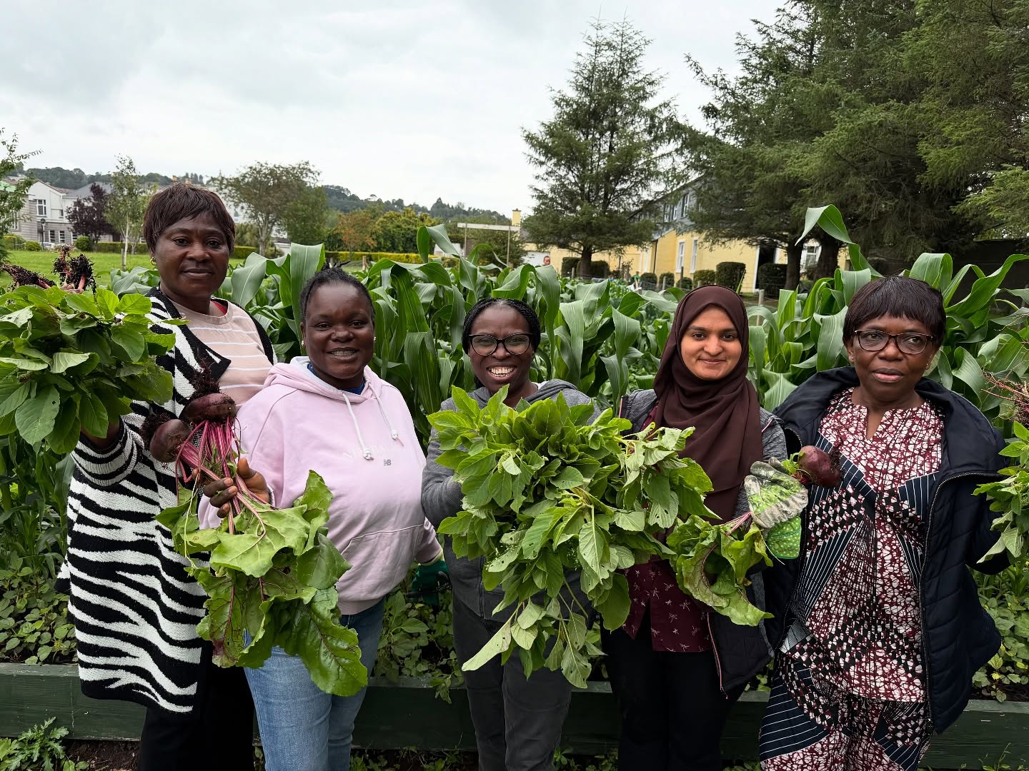 🌱✨ Harvest Day at International Garden!
What a joy to gather the fruits of our labour — fresh beetroot, mouchicha, kale, and spinach, all grown with love. 💚
The smiles, laughter, and sisterhood made it even more beautiful. Grateful for the positive energy and strong women who make this space flourish every day. 🌿👩🏽🌾🌞
#InternationalGarden #HarvestJoy #WomenInTheGarden #BeetrootBeauty #MouchichaMagic #KaleAndSpinach #CommunityStrength #GreenSpacesCork #PositiveVibesOnly