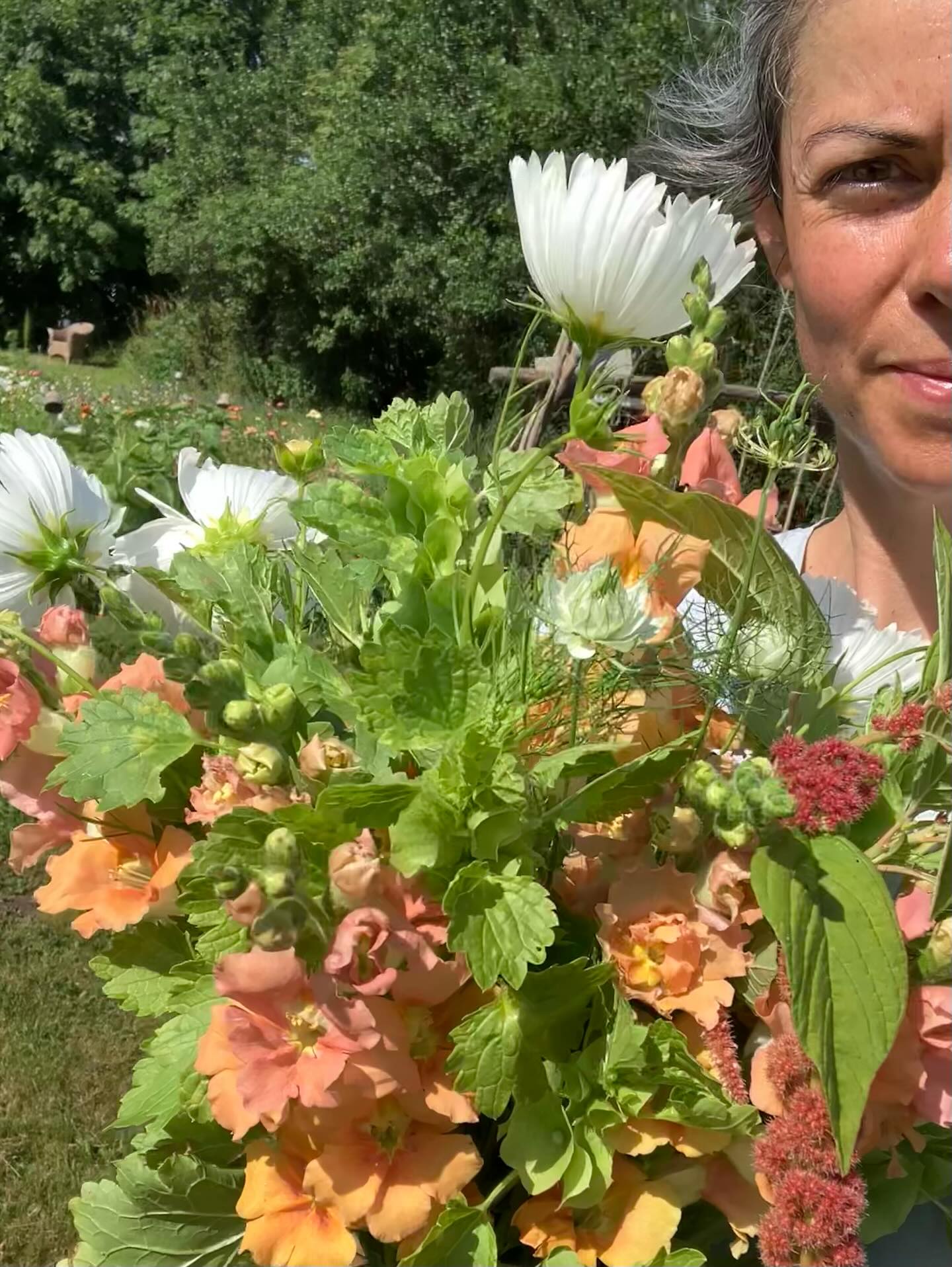 Vi vælter os rundt i ferskenfarve i øjeblikket 💕😎👌
Her har jeg plukket 10 Løvemund, 3 tragtbæger, 4 cosmos cupcake white, som er min personlige ynglings-cosmos og 1 amarant. En stor buket for 160 kr.
Den står nu på havebordet til ved blomstermarken til pynt og inspiration 🌸
Kig forbi i morgen, hvis du også skal bruge blomster til havebordet 🥂🍹