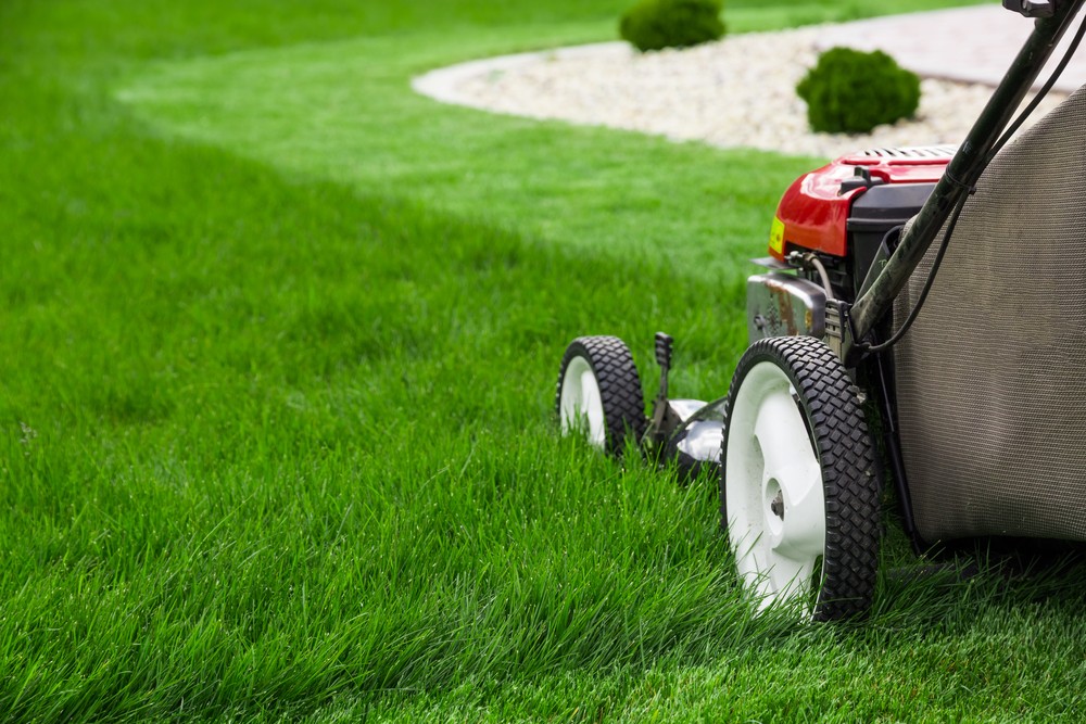 Stop struggling to take care of your property, and go enjoy it! We can take care of all the mowing and landscaping for you.
https://www.rfr.bz/i138ade
#mowing #lawncare #landscaping #terrehaute #indiana #family https://www.rfr.bz/i205292