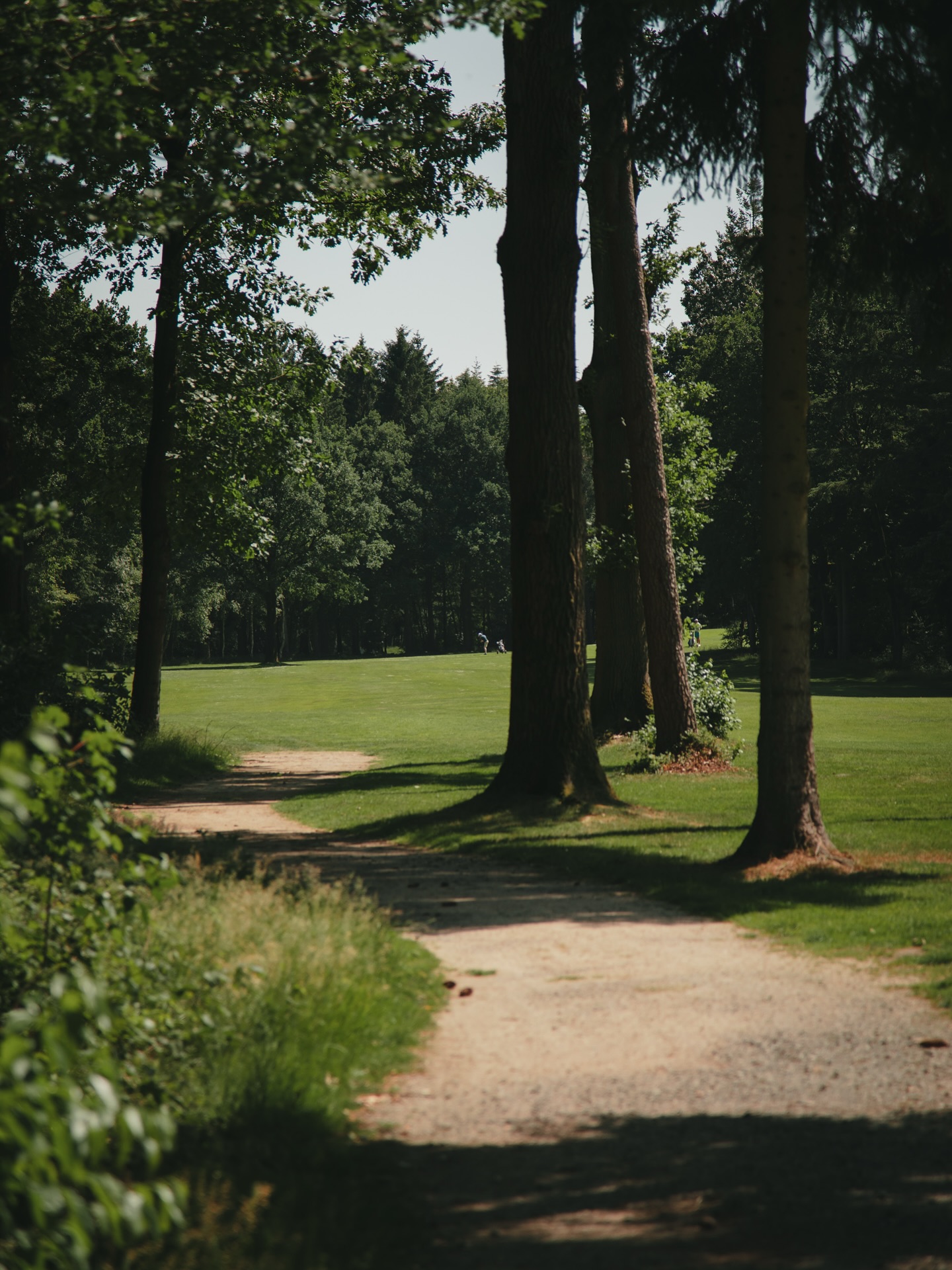 Impressionen vom Golfplatz. #golf #vechta #wald #natur #golfdeutschland #golfstargram