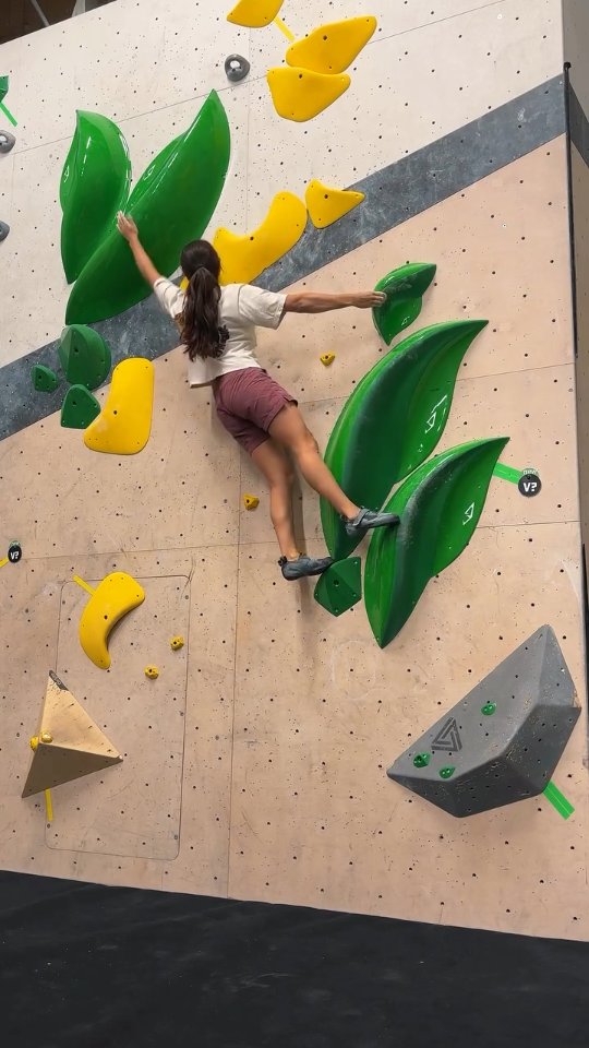 #repost @ashapradhan
Had a great time setting on the slab last week with the Nordic flowers from @arctic_grips 🌿
.
.
. #routesetting #boulderlife #routesettersofinstagram
-
-
-
-
-
-
-
#arctic_grips #norway #climbinggym #climbingholds #climbingwall #buldring #championchip #competition #routesetter #bouldering #indoorbouldering #climbing #climbhard #training #climberlife #girlswhoclimb #climbinglovers #rockclimbing #climb #klettern #picoftheday #photooftheday #nordicdesign #dualtexture #sportsbetting
