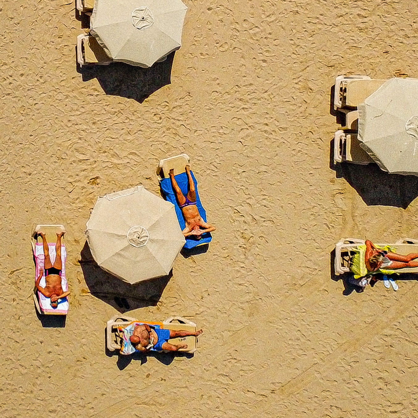 @lacometapalamos #vibes
OPEN DAILY 12 to 24!☀️