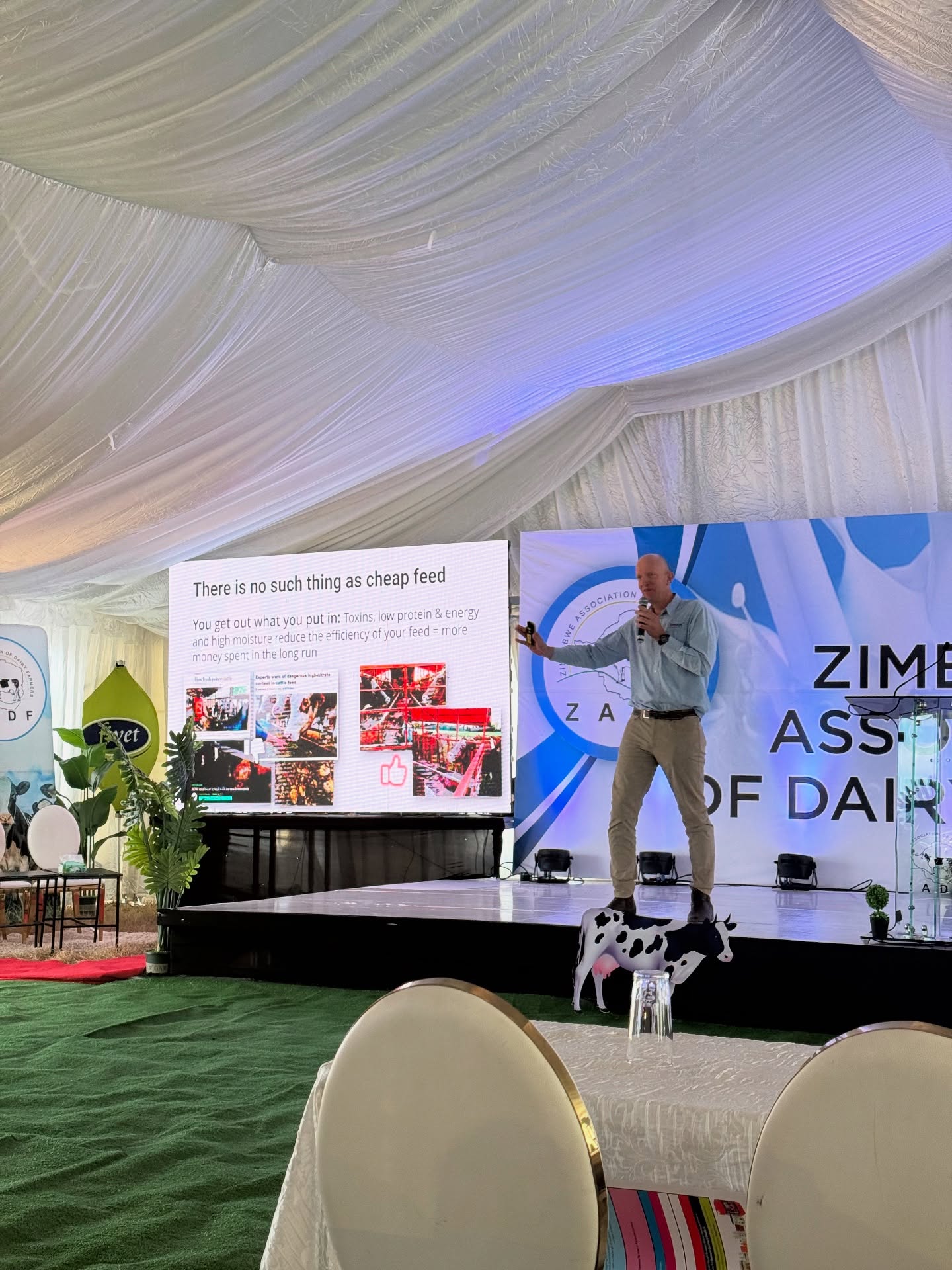 We had a great day sponsoring the ZADF AGM with Trouw Nutrition SA. Ajs gave an excellent speech on ‘Not saving yourself broke’ as a dairy farmer. We hope everyone enjoyed the speech and AGM.
#zimbabwedairy #zimdairyfarming #zadf #reddaneagrisolutions #wearelivestock