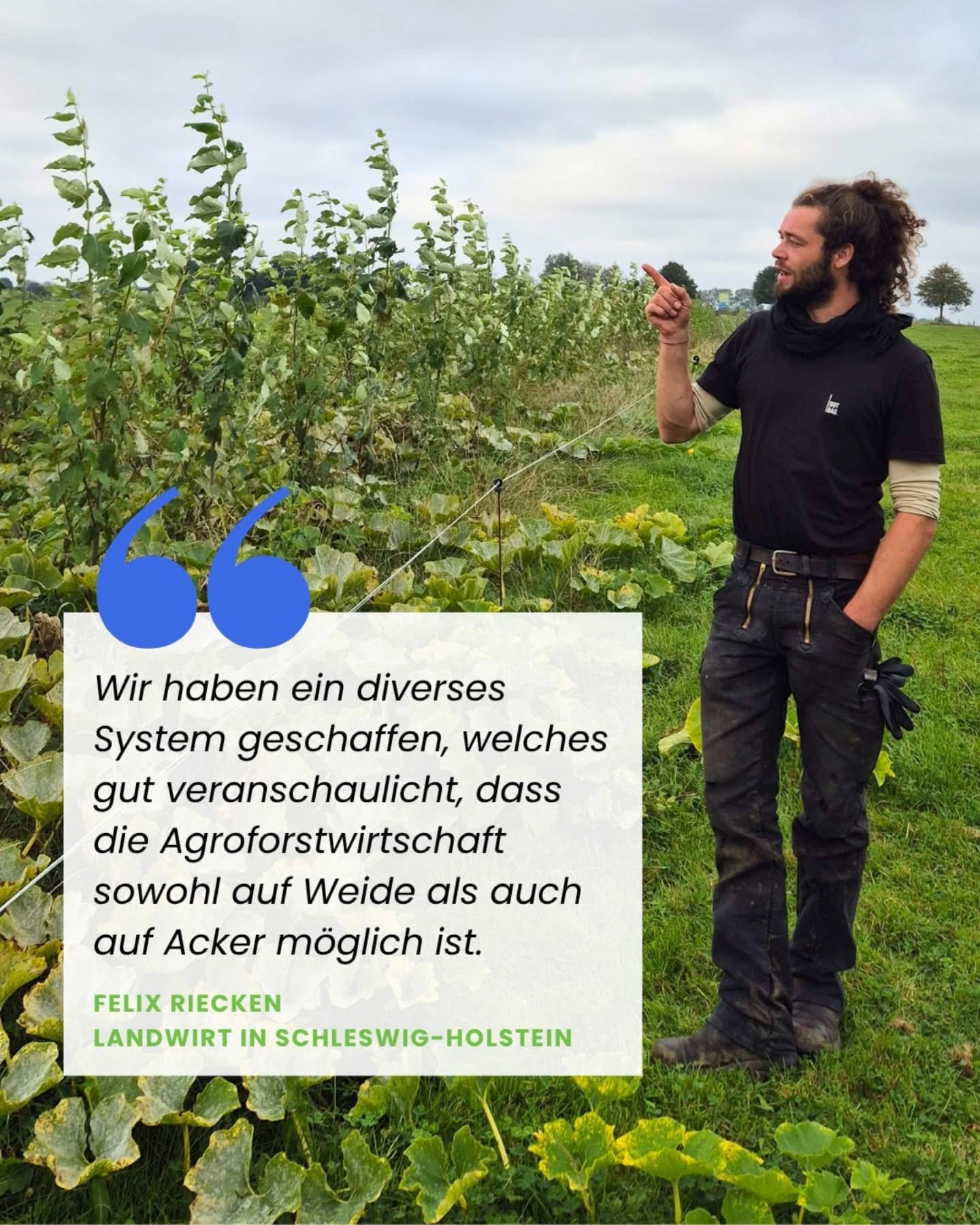 🙌 🌳 14 Monate mit 1.500 Bäumen als Agroforstsystem bei @rieckenslandmilch
🌿 Gemeinsam mit @felix_riecken , @triebwerk_agroforst_relawi und @lignovis haben wir im Mai 2024 auf 14,7 Hektar ein nachhaltiges Agroforstsystem etabliert, welches ca. 7 Tonnen CO₂ pro Jahr bindet. Über die Projektlaufzeit von 21 Jahren werden es über 145 CO₂ Tonnen sein.
🐄 Die 70 Kühe profitieren von den Bäumen durch Schatten und Futterlaub.
🎃 Bereits im ersten Jahr wurde in den Pappelstreifen Kürbis angebaut. Die Bäume dienen als natürliche Windschutzanlagen.
🌳 1.500 schnellwachsende Pappeln
🌳 14,7 Hektar Agroforstsystem
🌳 7 Tonnen CO₂Bindung pro Jahr
🌳 145 Tonnen CO₂ Bindung über die gesamte Projektlaufzeit
Der Bio-zertifizierte Milchbetrieb in 5. Generation setzt bereits seit 2020 auf Agroforst. Neben Futterlaubhecken, Esskastanien, Walnüssen und Wertholz wurde in den letzten Jahren auch eine Streuobstweide angelegt.
Finanziert wurde dieses Klimaschutzprojekt in Schleswig-Holstein durch QCS-Quick Cargo Service, Lignovis sowie Privatspender:innen.
Mehr über dieses Projekt und die Spendenmöglichkeiten für unsere weiteren Baumpflanzungen
👉 Link in Bio
#agroforst #agroforstsysteme #co2 #klimaschutz #umweltschutz #biodiversität #klimawandel #naturschutz #vivocarbon #regenerativelandwirtschaft #agroforestry #agroforestrysystems #biodiversity #carbonremoval #Klimakrise #Agrarwende @defaf_ev