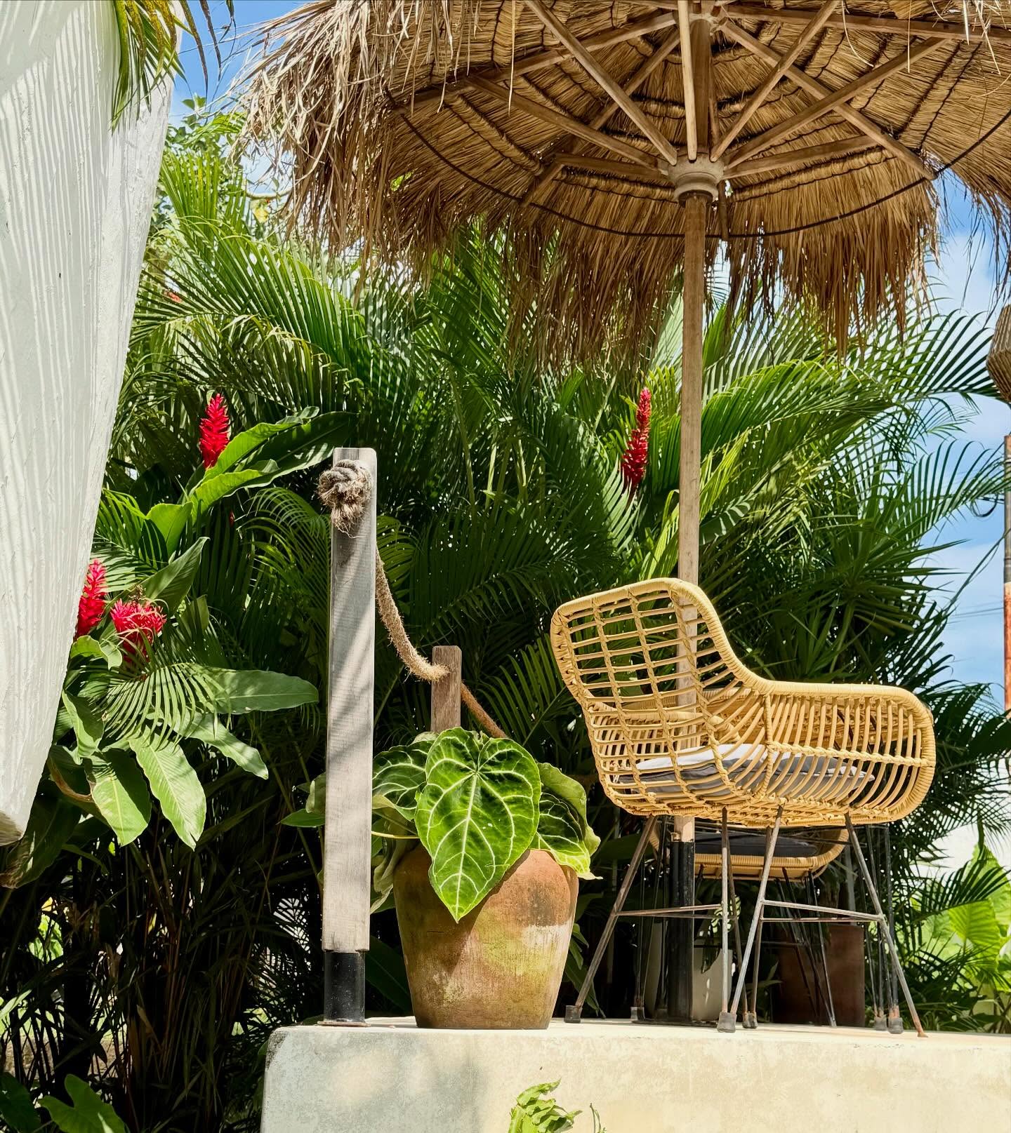 Not Posted in a While, In My Villa Era 🛁🌴
Haven’t posted in a bit because I’ve been… villa-ing.
Woke up to banana pancakes, dipped into my private pool, and sipped cocktails with names longer than my to-do list.
Currently in my “soft life, hard sun” phase — and not mad about it.
Villa > reality.
Still solo. Still sipping. Still not missing home.
#InMyVillaEra #WhereTheTukAmI #PoolsideChronicles #SoloTravelVibes #SEAsiaSlowLife #BananaPancakeTrail