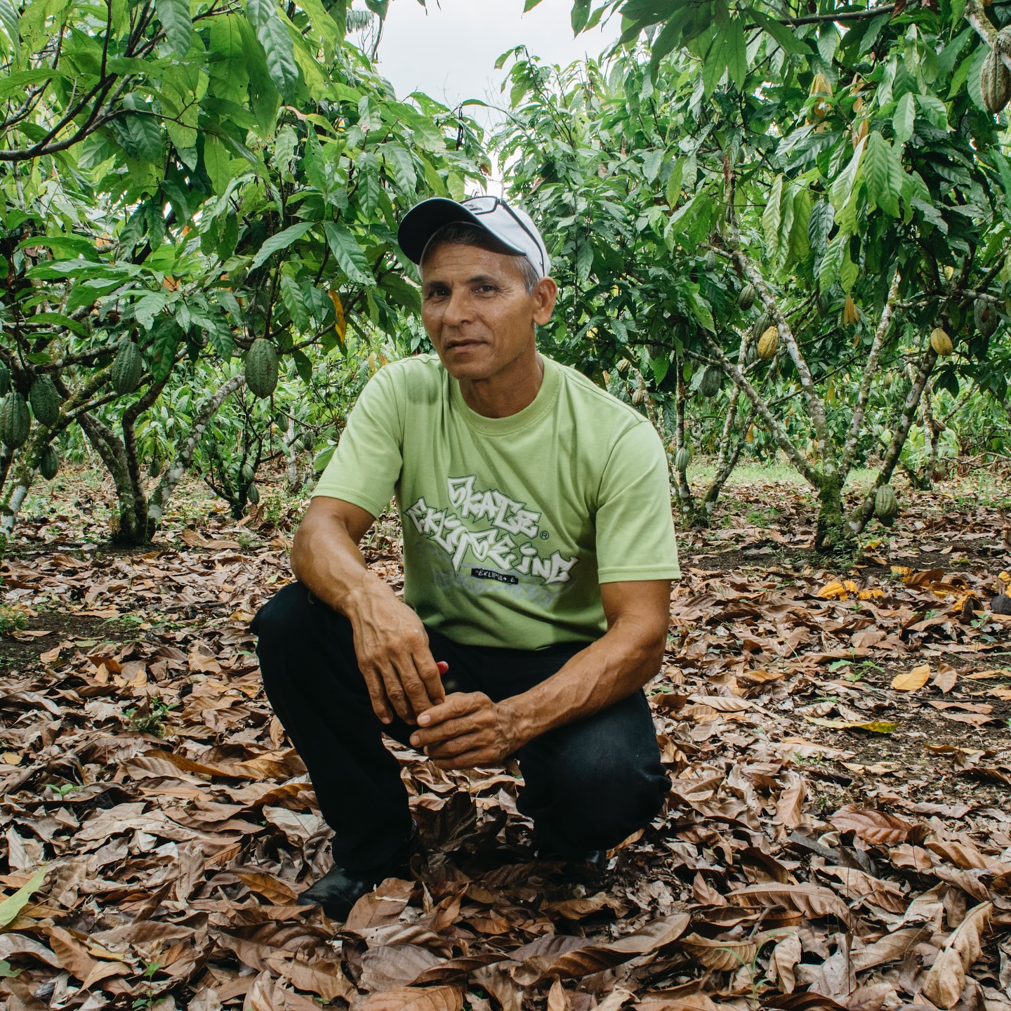 Jetzt vorbestellen & die nächste Lieferung möglich machen
Hinter jeder Tafel steckt nicht nur Geschmack, sondern auch echte Arbeit, weite Wege und ein Team in Ecuador, das an unsere Idee glaubt: Farmer Owned und direkt in Ecuador produziert.
Warum das gerade jetzt zählt? Weil dein Support mir hilft, die nächste Lieferung aus Ecuador zu stemmen.
Statt Kredit: echte Verbindung.
Statt Warten: Vorfreude.
Bestell jetzt vor – für dich, für mehr Farmer Owned, für mehr Kakao mit Haltung.
Schreib mir oder bestell über den Shop.
Auslieferung: ab September
Mit deiner Vorbestellung bist du Teil der Bewegung.
👉 Link in Bio
#kakao #rohkakao #farmerowned #ecuador #kakaoohneausbeutung #vorbestellen