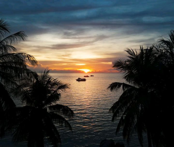 I started this journey six months ago. Now I'm back home, replaying all the memories through video
Vietnam -> Laos -> Cambodia -> Thailand
Asia has captured my heart: the people, the culture, the landscapes. I will be back soon 🩵
Grateful I got to do this, and even more grateful for the people who made it unforgettable.
I tried to fit the past six months into one video. If you're interested, the full version is on YouTube :)
🌊🐟🌴