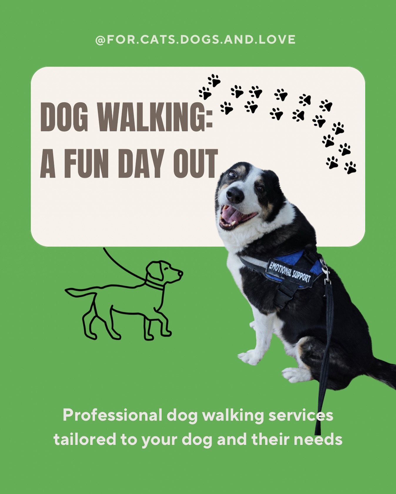Looking for a professional dog walking service? Look no further. Send us a message to find out more 📲😻