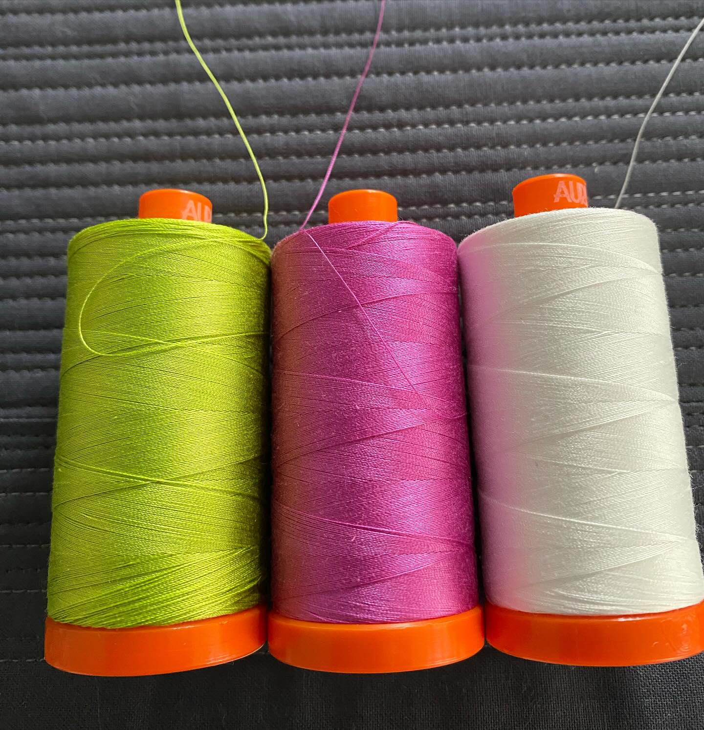 And now for some colour 💚🩷🤍
I knew I had the right @aurifilthread colours for some accent quilting because they were supposed to go on last year’s show quilt but once I did the grid I decided not to. Looking forward to adding pops of colour over the matchstick quilting.
#cutandalterlongarmquilting #cutandalterdesigns #cutandalterwip2025 #matchstickquilting #customwuilting #handguidedquilting #accentquilting #rulerwork #handiquilteramara #hqamara #handiquilter