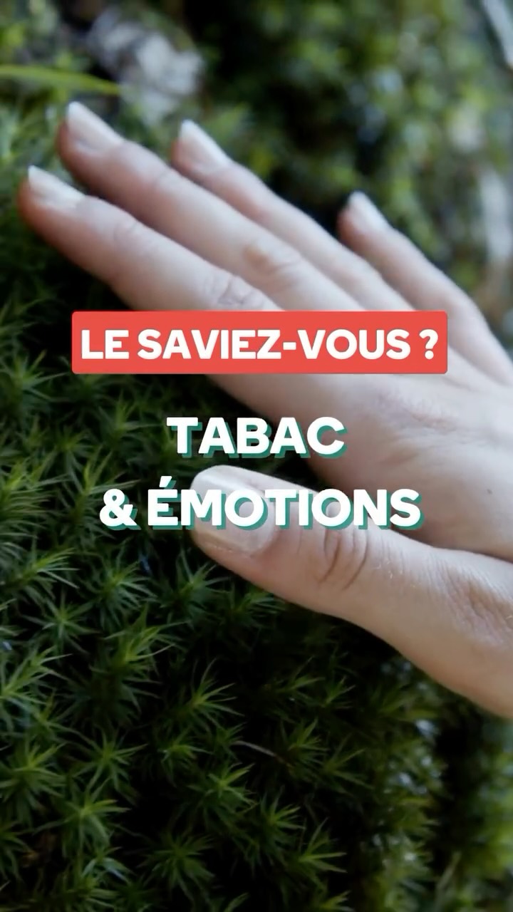 🔥 Tristesse, stress, colère…
Et si fumer n’était qu’un faux refuge ?
La cigarette ne règle pas les émotions, elle les cache… et les rend plus dures à gérer.
👉 Apprends à reconnaître ce que tu ressens, pas à l’étouffer sous la fumée !