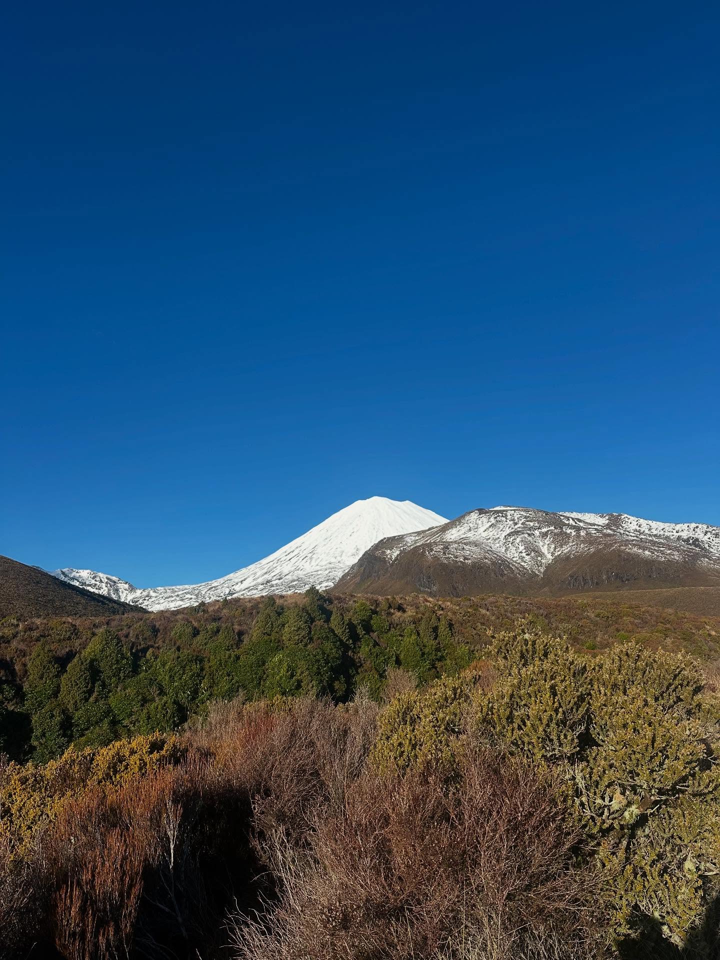 The start and the end of the Tongariro Crossingโฆ the rest is up to you to discoverโฆ.
Book now at Adventure Lodge to experience The Great walk for yourself ๐ป
๐ www.adventurelodge.co.nz
#greatwalk
#tongarironationalpark
#mtruapehu