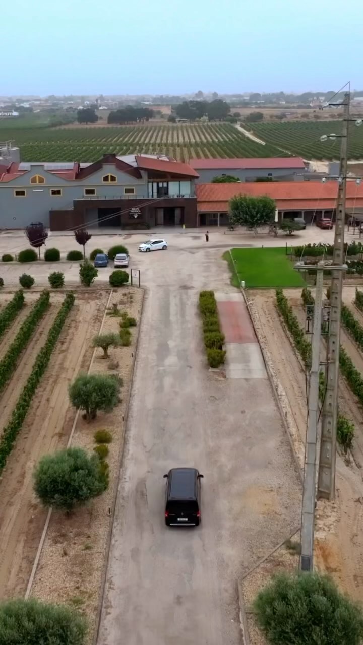 From vineyard to glass… and back again.
Every pour tells a story — of sun-soaked afternoons, winding roads through vineyards, and moments meant to be savoured, not rushed.
Join us for a day curated to celebrate the people, the places, and the wines that make this region so unforgettable.
Let’s walk and sip.
🗓 New dates just added for August & September.
📍 Departing Lisbon | Setúbal Wine Region
#ViaVinho #SipSavourExplore #SlowTravelPortugal #LisbonWine #CuratedExperiences #BeyondTheVineyards #WineCulture #luxurywinetour