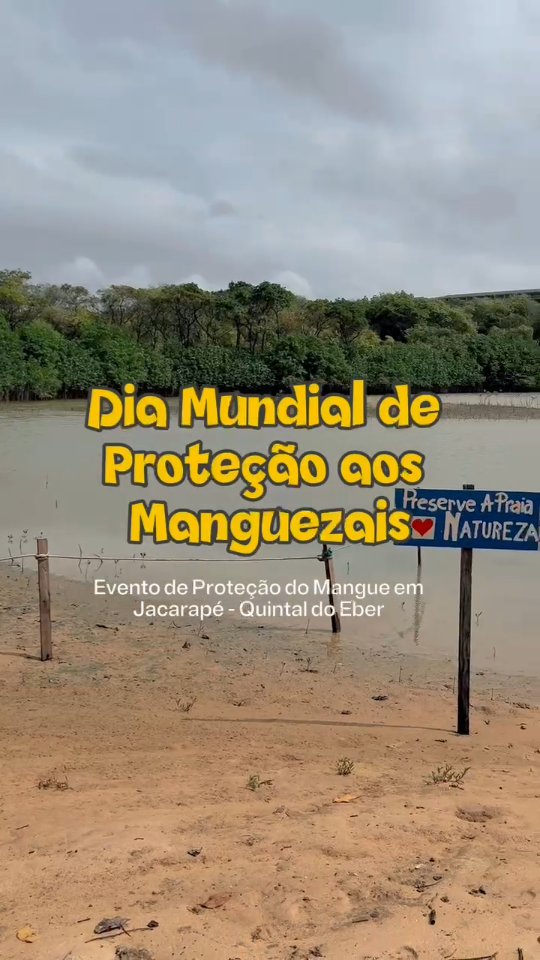 Ontem, por ocasião do Dia Internacional dos Manguezais, o Super (Subprograma de Restauração de Corais, vinculado ao @preamarpb) e os parceiros @sisfaumarpb e @inpact.org.br realizaram uma visita à área de restauração de manguezal em Jacarapé, local onde também desenvolveremos nossas atividades.
No local, ocorreu o Evento de Proteção do Mangue, promovido pelo @quintaldoeber. Dentre as atividades da programação, aconteceram: Mutirão de Remoção de Resíduos Sólidos pelos arredores do mangue; trilha interpretativa no mangue; Slackline; passeio de caiaque.
Tanto os manguezais quanto os recifes de corais constituem berçários naturais e prestam relevantes serviços ecossistêmicos de suporte, provisão e valor cultural, beneficiando diretamente as comunidades costeiras.