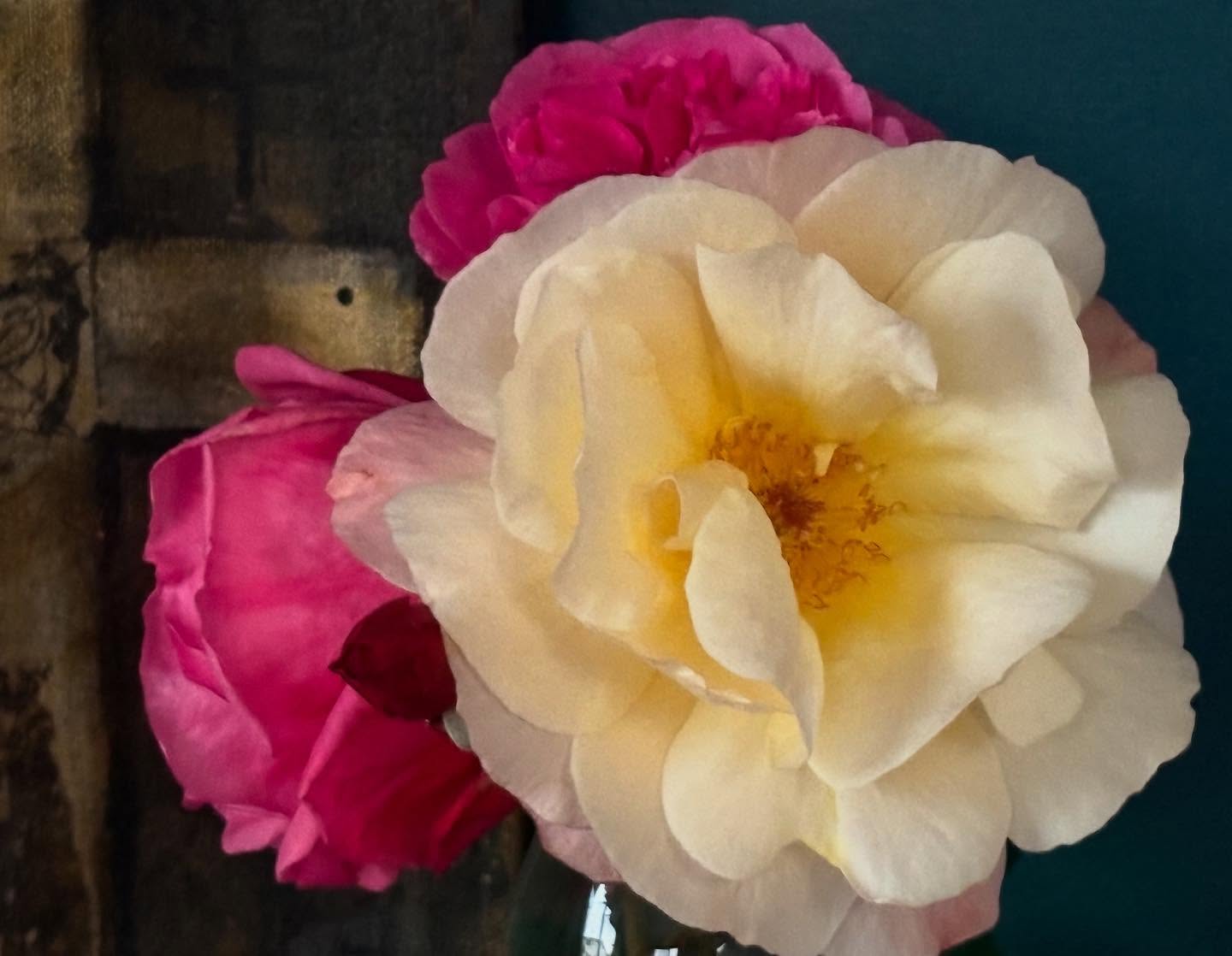 Venturing out into my winter garden to prune the roses ahead of spring - I was surprised to come across some beautiful, scented rose blooms. A pleasant reminder of the joy of growing roses