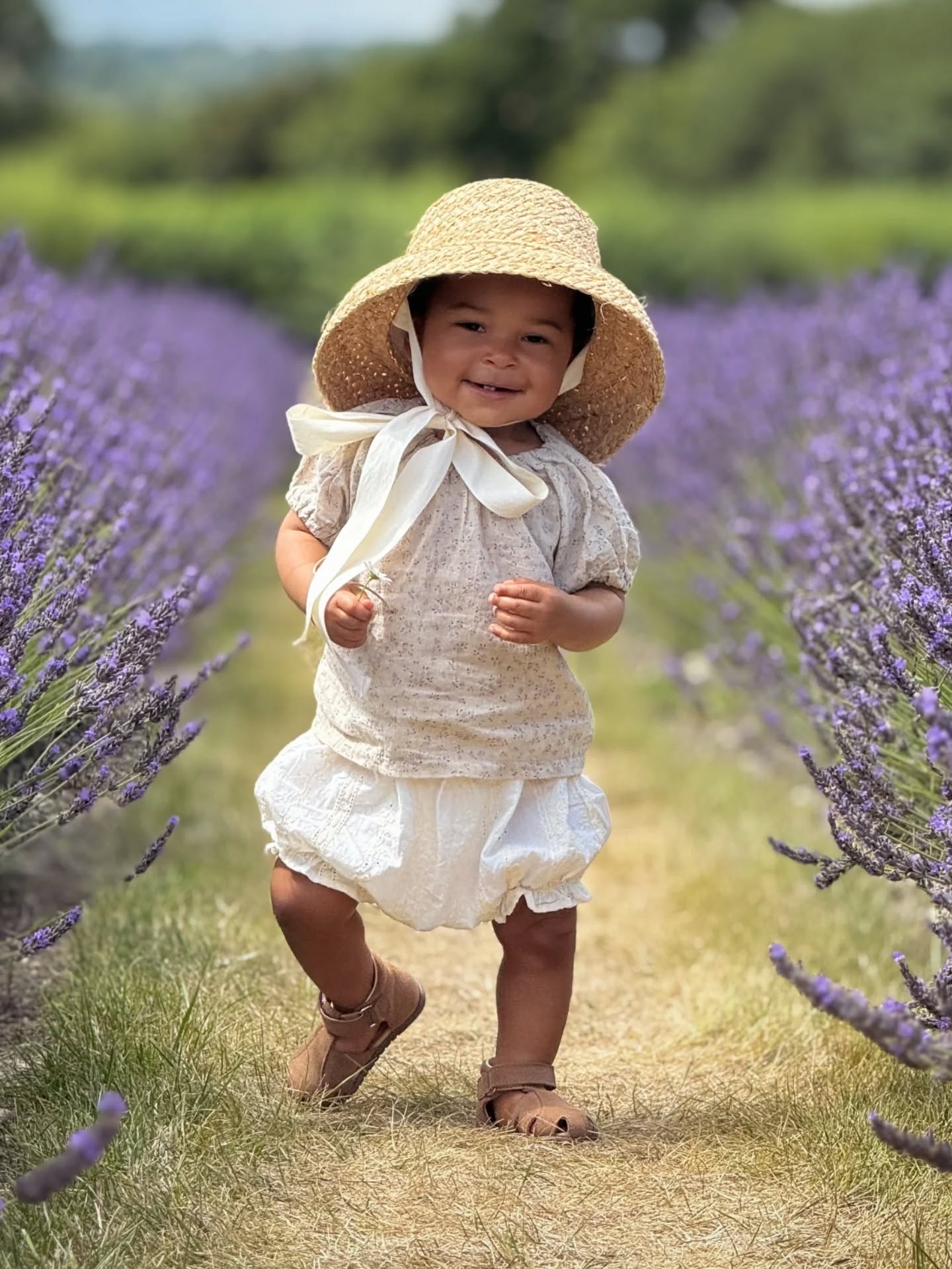 Summer times dans les champs de lavande