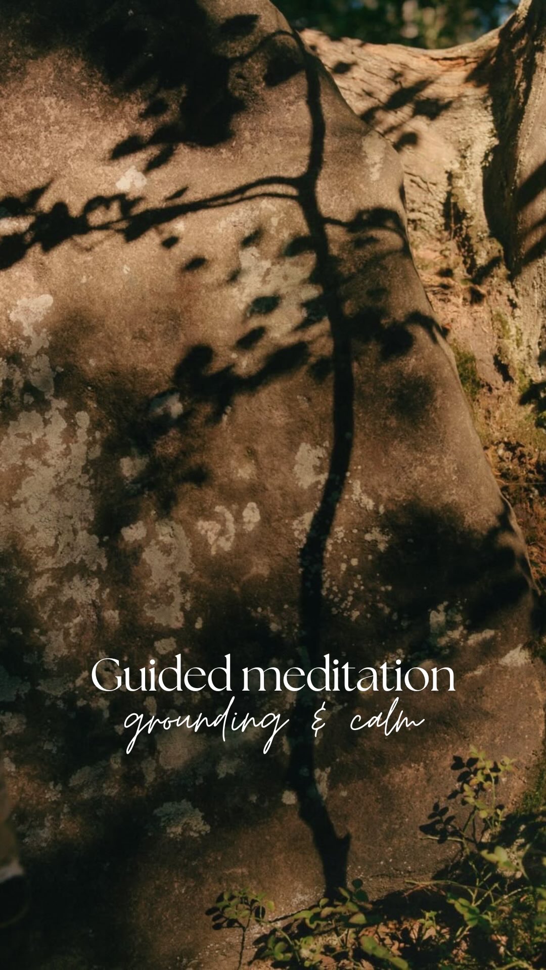 Start your morning feeling grounded ❤️
.
.
.
#meditation #guidedmeditation #naturemeditation #visualisation #momentofcalm #mindbodyconnection #somatics #somatichealing #somaticcoaching #stresstips #regulation