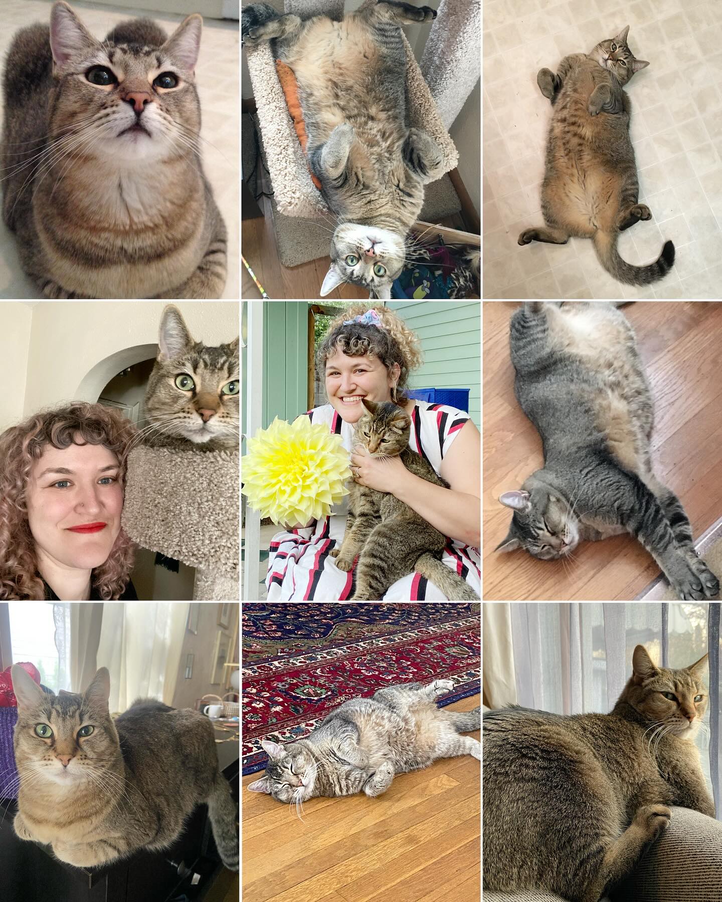 A sad day in our little house- yesterday we said goodbye to our little sweetie pie Basil.
He was so loved, so adorably sweet and bumbling, so persnickety. He mostly only had eyes for Brian, but would let me snug on him too. He had a strong aversion to strangers, and an even stronger weakness for chicken.
He got sick in 2020 and with that came daily pills and prescription food and a slow decline, so to have had 5 more years with him was a gift and I’m grateful we could lay him to rest in a very peaceful way.
We still have our other cat Nelson, notorious for being a Class A asshole with some sweet tendencies (as long as he gets everything he wants) so here’s hoping he gets a little more chill now that he’s the only kitty.
If you’ve talked to me for more than 45 seconds you know I’ve had these goofball cats at home, so wanted to share about Basil here 🩷🩷🩷🩷