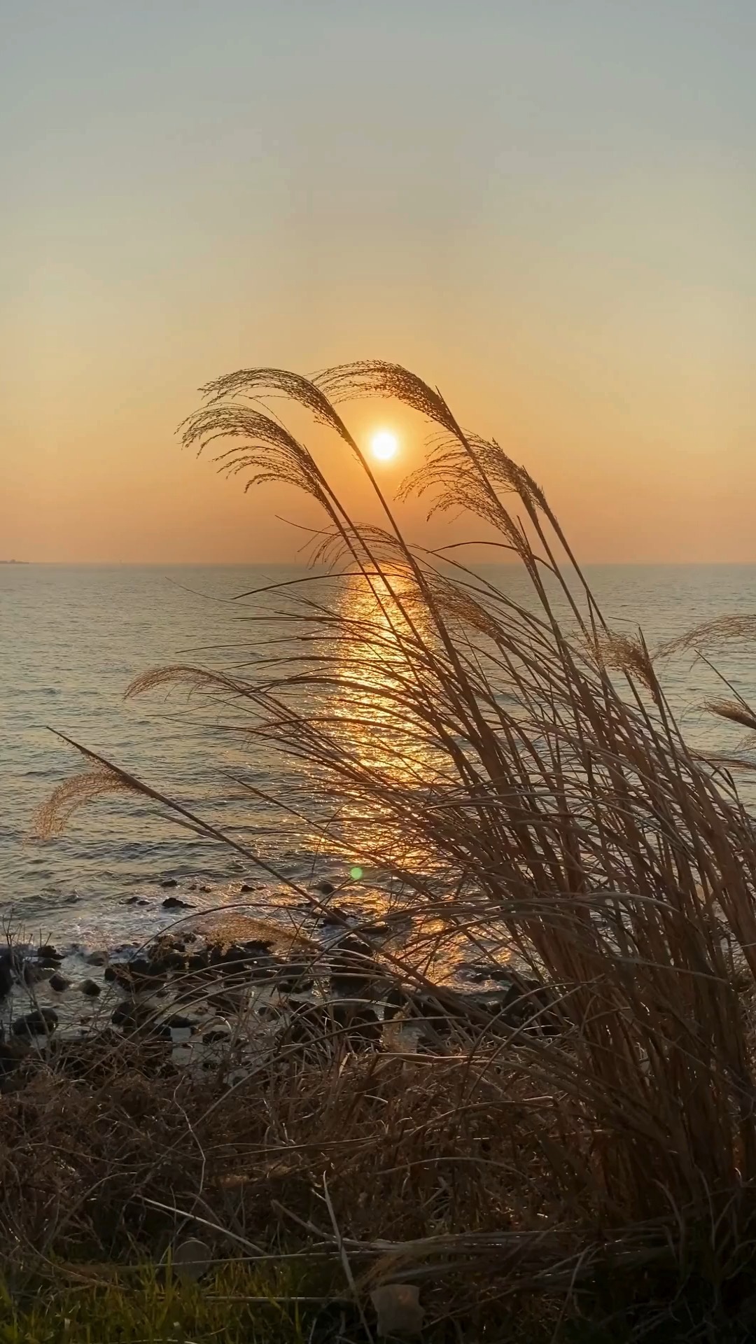 You feel it, don’t you?
That quiet longing for peace.
For a moment where everything slows down,
your mind, your body, your heart.
Eden Harmonía is that sacred pause.
A one-week retreat designed for women who are ready to come back to themselves.
To feel again. To breathe again. To be held by nature, and by the wisdom of their own being.
Watch the video. Feel what’s calling you.
📩 DM us or email info@lyratika.com to reserve your place.
#EdenHarmonia #SacredPause #WomensWellnessRetreat #HealingJourney #TulumRetreat #MicrodosingSupport #LuxuryRetreat #Lyratika