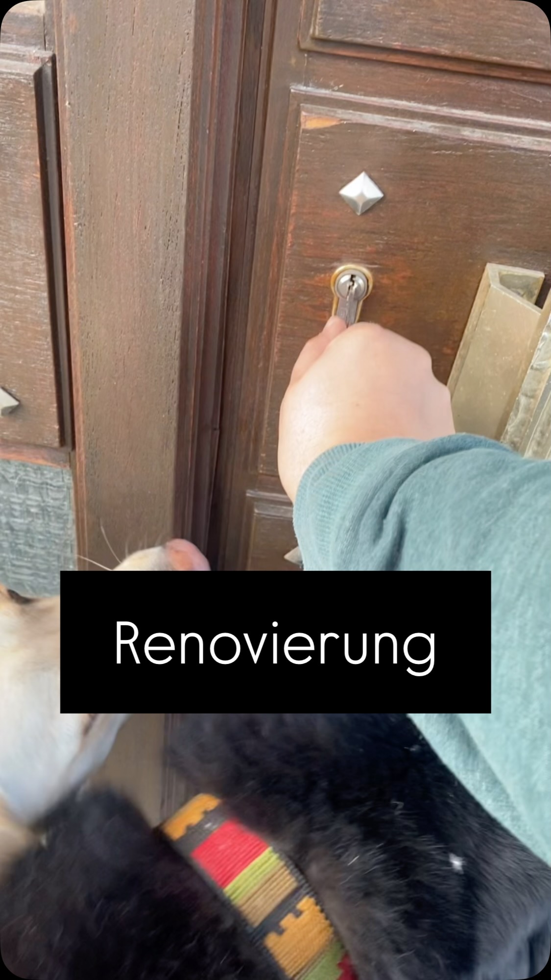 Als wir vor drei Jahren unser Haus gekauft haben, war klar dass Arbeit auf uns zu kommt. 🏡Wir haben zunächst die Zimmer renoviert die wir dringend bewohnen wollten und haben uns die anderen Zimmer für später aufgespart. Wir wollten peu a peu uns durch das Haus renovieren.
Und klar: Irgendwie kommt man immer langsamer voran als man geplant hatte 😅.
Mit diesem Zimmer ist eines von vielen Projekten abgeschlossen.
Folgende Schritte waren dafür nötig:
✅Schreibtisch zersägen (passte nicht durch die Tür)
✅Tapete abkratzen
✅Teppichboden rausreißen
✅Wand verspachteln
✅Holzteile Grundieren
✅2x Rollputz auftragen
✅Leisten streichen
✅Boden verlegen
✅Nochmal Boden verlegen (weil unzufrieden mit Optik)
✅Schrank bekleben
➡️Etliches davon war außerhalb meiner Komfortzone, aber mit jedem Mal TUN ging es einfacher. Auch Hunde fühlen sich häufig in ihrer Komfortzone wohl. Genau wie wir lernen sie durch Widerholungen und erlangen Selbstvertrauen wenn sie ungewohnte Situationen meistern.
Also wie meine Mama sagen würde:
👵“Es gibt nichts Gutes, außer man tut es.“
#renovieren #hundeleben #selbstvertrauen #selbstwirksamkeitstärken #hauskauf #hausrenovieren