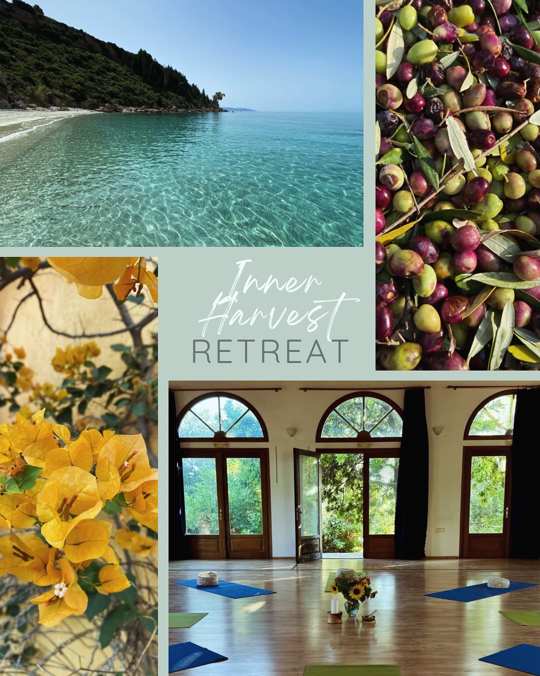 Stell dir folgendes vor
Es ist Oktober, die Sonne wärmt deinen Körper und du gehst barfuß über den Strand. Du wirst vom Meeresrauschen und vom Singen der Vögel geweckt. Du beginnst deinen Tag achtsam in Stille bei einer Meditation, im Einklang mit dir und der Natur. Anschließend praktizieren wir eine aktivierende, kräftigende, erdende Yoga Praxis.
Wohl genährt nach einem reichhaltigen Brunch hast du Zeit dich zurückzuziehen oder den Strand, die Sonne und das Meer zu genießen.
Am Nachmittag kommen wir wieder im Kreis zusammen und praktizieren heilsame Yoga Übungen, somatic movement Praktiken und widmen uns nährenden Atemübungen.
Nach der Praxis werden wir mit den Köstlichkeiten der griechischen Küche verwöhnt und haben Zeit uns auszutauschen.
Was dich erwartet
✨kraftvolle & nährende Yoga Praxis
✨Yin Yoga & Somatic Movement
✨Atemübungen & Meditation
✨Die Möglichkeit bei einer traditionellen Olivenernte dabei zu sein
✨Zeit am Meer und im Grünen
✨Nachhaltige Erholung, gemeinsam mit Gleichgesinnten
✨und noch vieles mehr
Ich freue mich auf dich!
With Love,
Caro
#retreat #greece #metime #nourish #happyplace #harvest #yoga