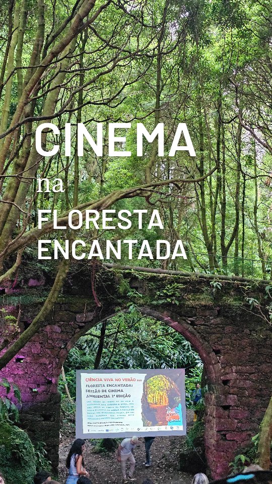 Um local que nos é muito familiar e onde já efetuamos tantos passeios. A floresta encantada do nosso trilho favorito na ilha.
Mas a experiência de visitar esta floresta à noite foi diferente e muito especial.
Assistimos a uma sessão de cinema ambiental, partilhamos desejos para o futuro, nosso e do nosso planeta, tudo acompanhado de um reconfortante chá no fresco da noite.
Uma bonita inciativa conjunta da @lagoamunicipioacores e da @expolabccv que recomendamos.
Com tantas iniciativas de qualidade, não há desculpas para não sair de casa este verão ☀️
#azores #natureistherapy #nature #thereisnoplanetb