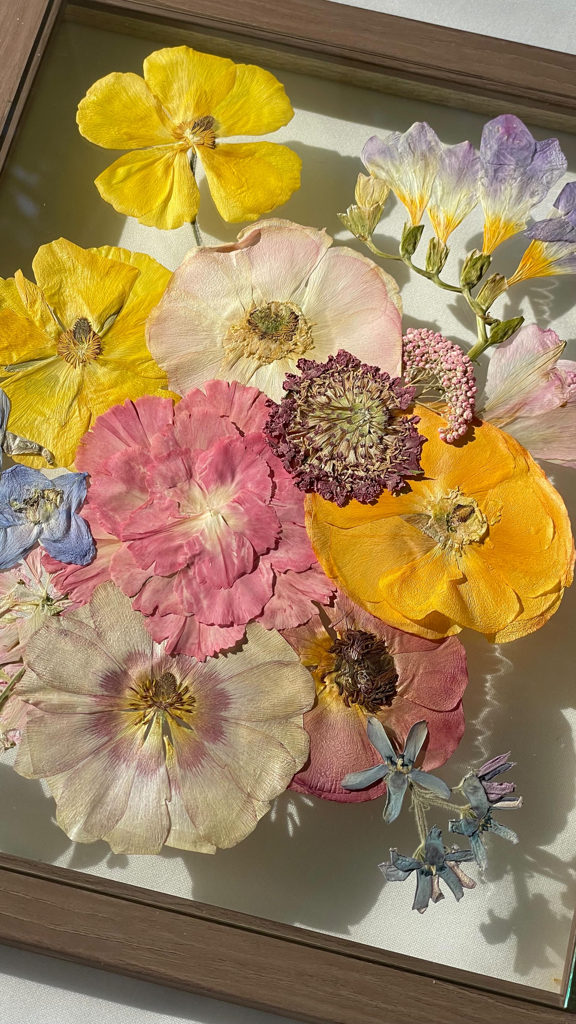 The sweetest little set, full of color for Donalyn.
✨
I get so excited when I receive bright and bold color palettes because they typically preserve so well! If you are in the planning process with your florist, and would like to talk about what flowers preserve the best, let’s chat! Reach out and learn more at HeirbloomCreative.com.
✨
Featured is our 8x10 and 5x7 frames in walnut in the organic design style.
🌸Beautiful florals designed by the talented @fleurestudio_
.
.
.
#flowerpreservation #pressedflowers #pressedfloralart #floral #art #saveyourbouquet #richmond #virginia #preservationist #weddingflowers #rvaengaged #rvaweddings #rvabride #rvaartist #rvasmallbusiness #heirbloom #creative