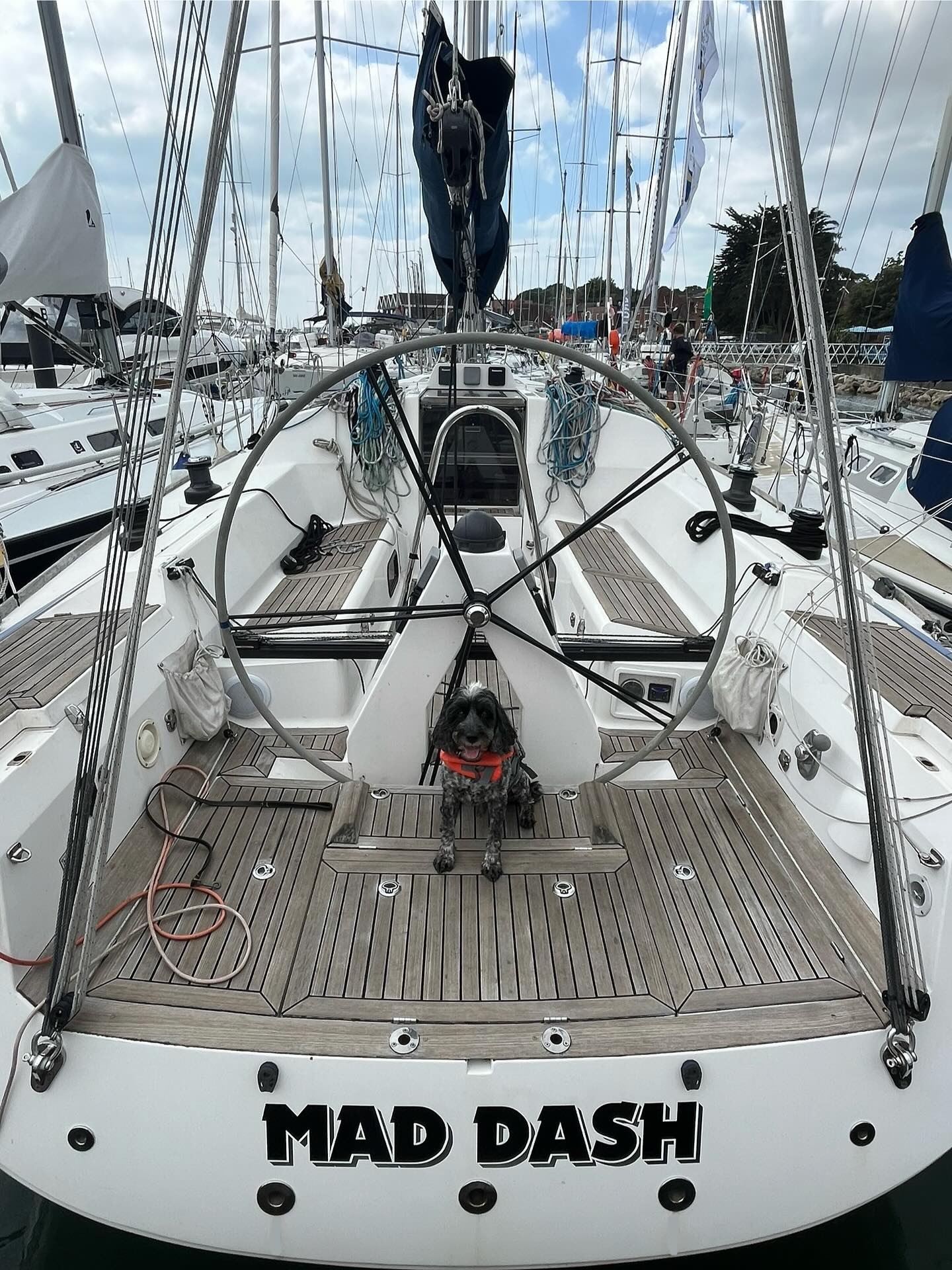 🐾 Sails up, tails wagging! ⛵🐶
Here he is the Hound behind Sailing Hounds!!
Did you know your dog can come sailing too?
At Sailing Hounds, we offer private skippered charters where your furry crew member is always welcome aboard! 🐕❤️
No need to stress about pet care—bring them along for the adventure of a lifetime!
📆 Now taking bookings for this year & next—DM us or hit the link in bio to secure your spot before the calendar fills up!
#DogFriendlySailing #SailingHounds #PetFriendlyCharter #SailWithYourDog #BoatLifeWithDogs #AdventureAwaits #SkipperedCharter #DogOnBoard