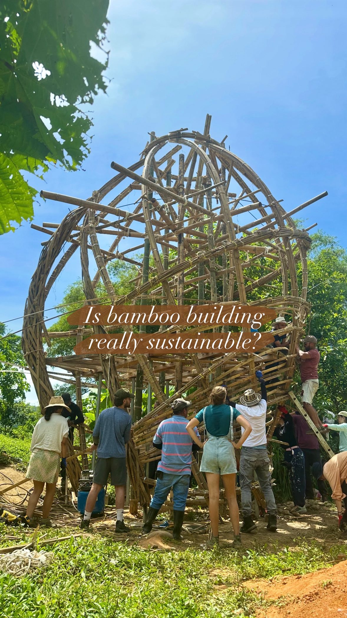 “Is cutting bamboo the same as cutting down a tree?”
We get this question all the time… and the short answer is, definitely not!
Bamboo is actually one of the most sustainable building materials on the planet:
🌱 it’s a grass, not a tree—cutting it doesn’t kill the plant
🌱 harvesting mature poles stimulates new growth
🌱 it grows incredibly fast (some species up to 1 meter a day!)
🌱 its roots stay intact, preventing soil erosion and storing carbon
At Ekawa, we support the grove in multiple ways: harvesting mature culms and planting new bamboo, so the ecosystem continues to thrive.
Working with bamboo isn’t about taking from the earth, but building with her, in a regenerative cycle that strengthens both nature and our structures.
Working with bamboo isn’t about taking from the earth. It’s about building with her, using a material that naturally regenerates and grows stronger over time.
Did you know that harvesting bamboo was actually an important part of supporting the grove to thrive? Tell us in the comments! ✨