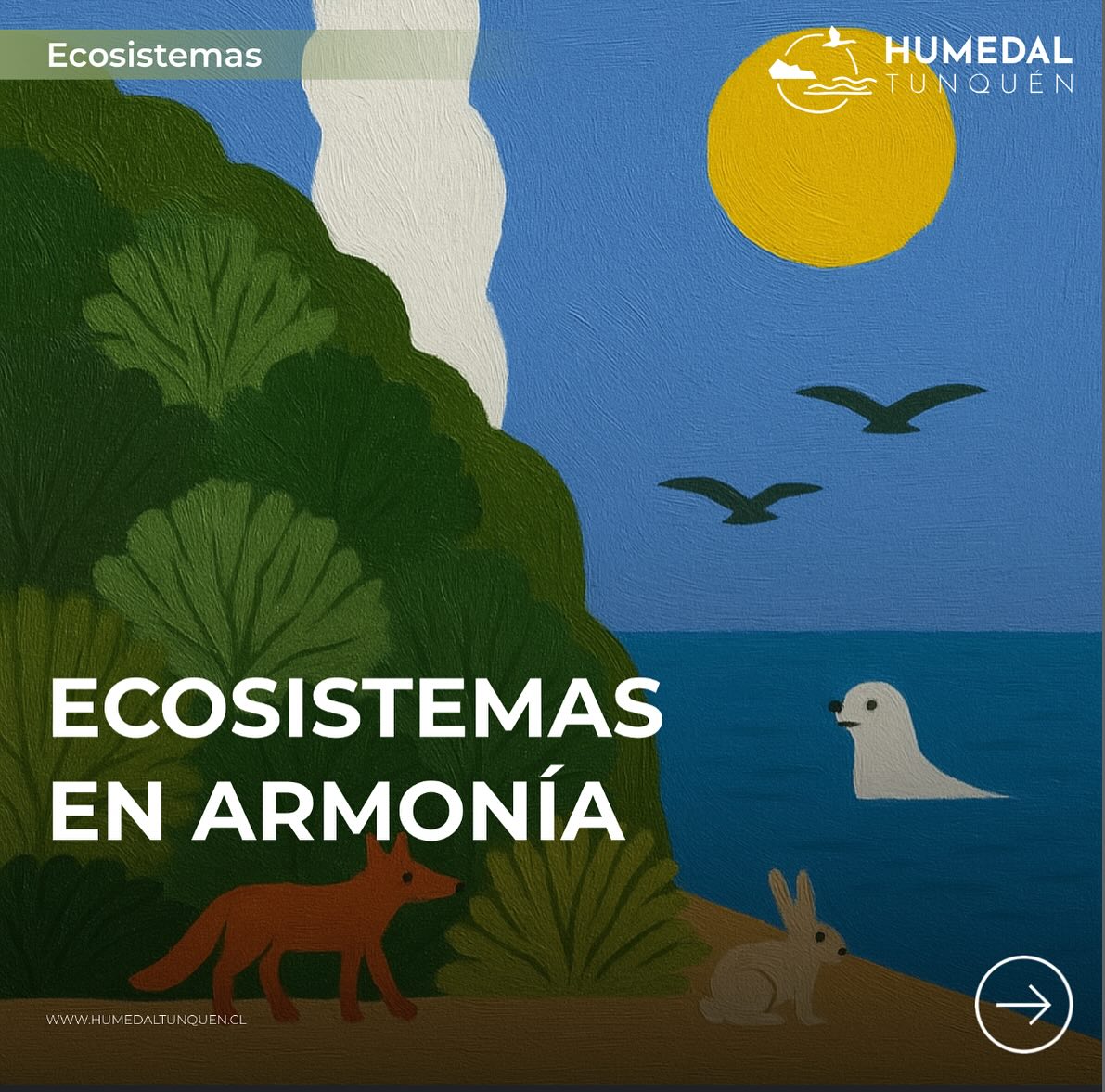 🌿 En el Humedal de Tunquén, distintos ecosistemas conviven en equilibrio: humedal, estuario, dunas, bosque esclerófilo y más.
Cada uno aporta vida y refugio a una gran variedad de especies.
Cuidarlos es cuidar la biodiversidad que nos rodea. 💚
Conoce este lugar único y ayúdanos a protegerlo.
#HumedalTunquén #Ecosistemas #Conservación #NaturalezaViva