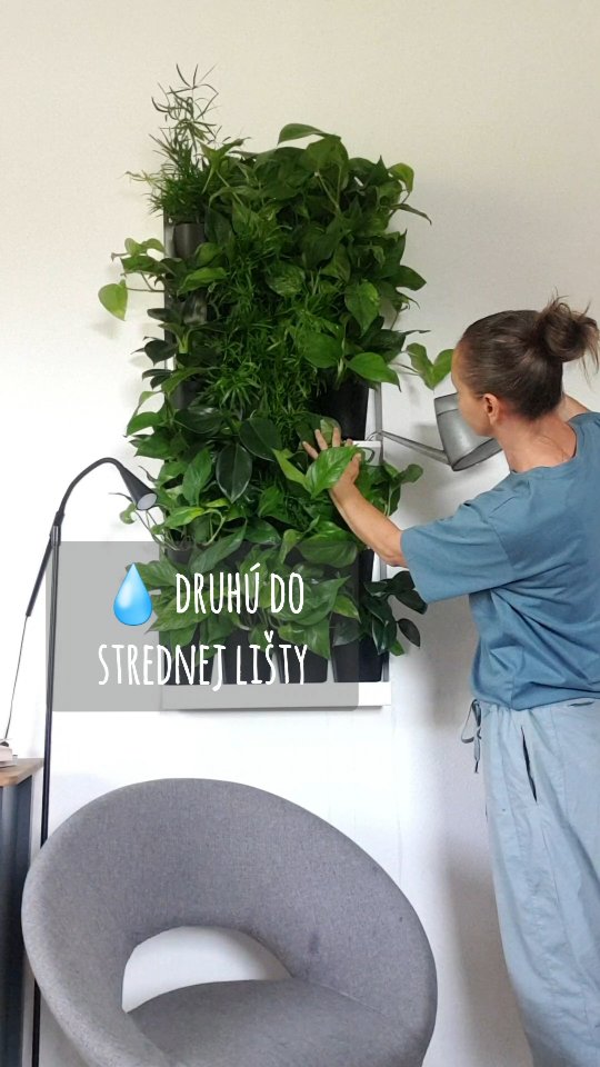 #ziveobrazy #zelenesteny #verticalgarden #eo