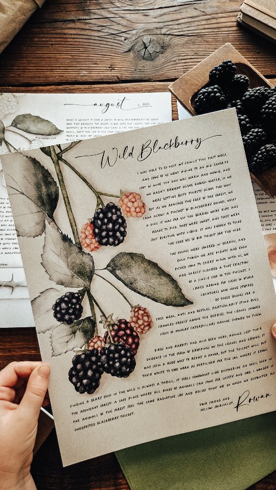 Unpack our upcoming August journal with us!
And guess what? Our Back to School sale has begun! Grab your Field Journals for the upcoming school year at 25% off!
#homeschool #thisishowwehomeschool #wildandfreechildren