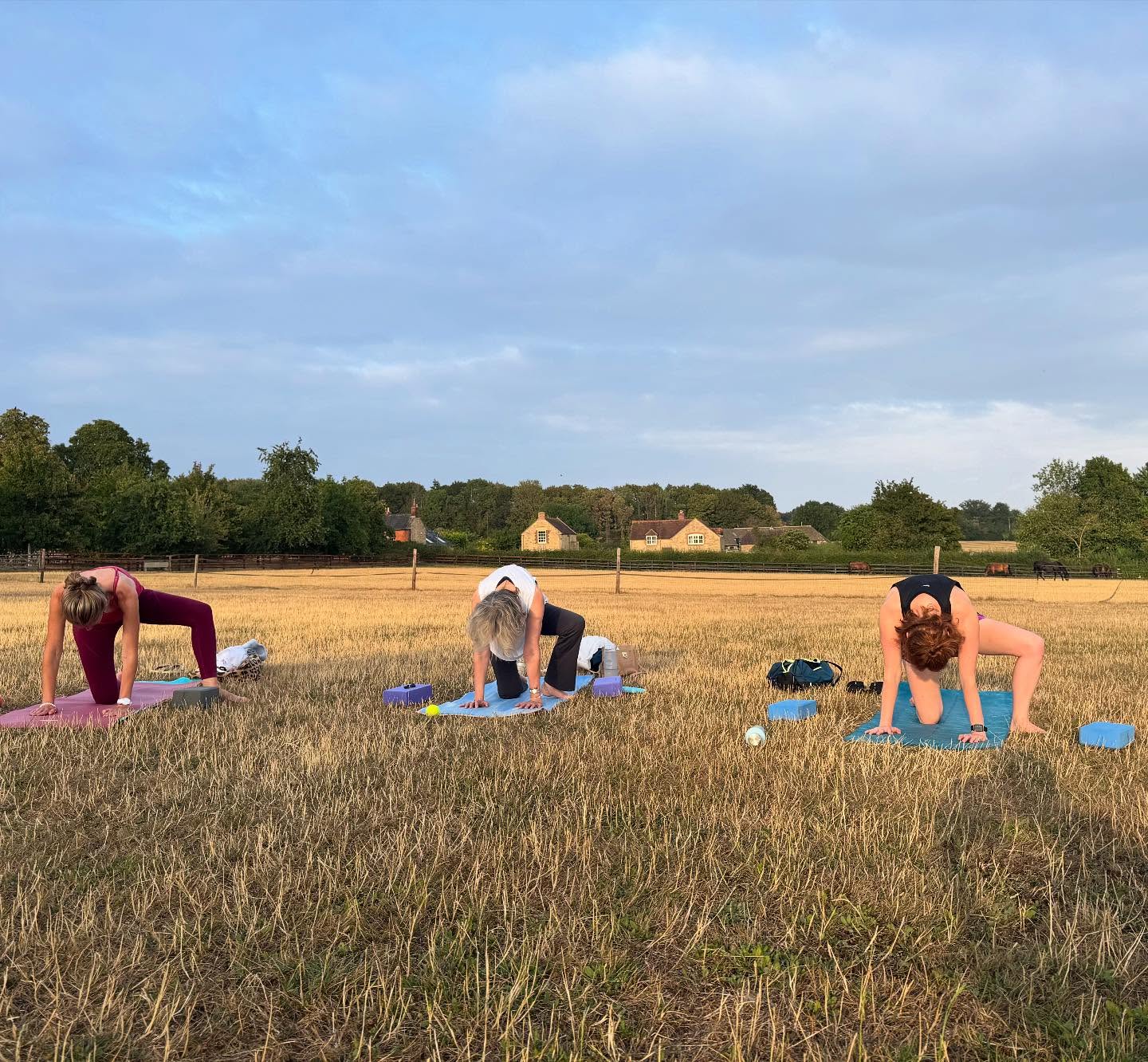 Another field yoga session. And these guys did some very impressive coordination stuff exercising their brains. The brain loves novelty and some of these moves were definitely novel! Well done esp to Cheryl who isn’t very competitive at all and hasn’t really been practicing all week!! #teacherspet #outdooryoga #overburyyoga