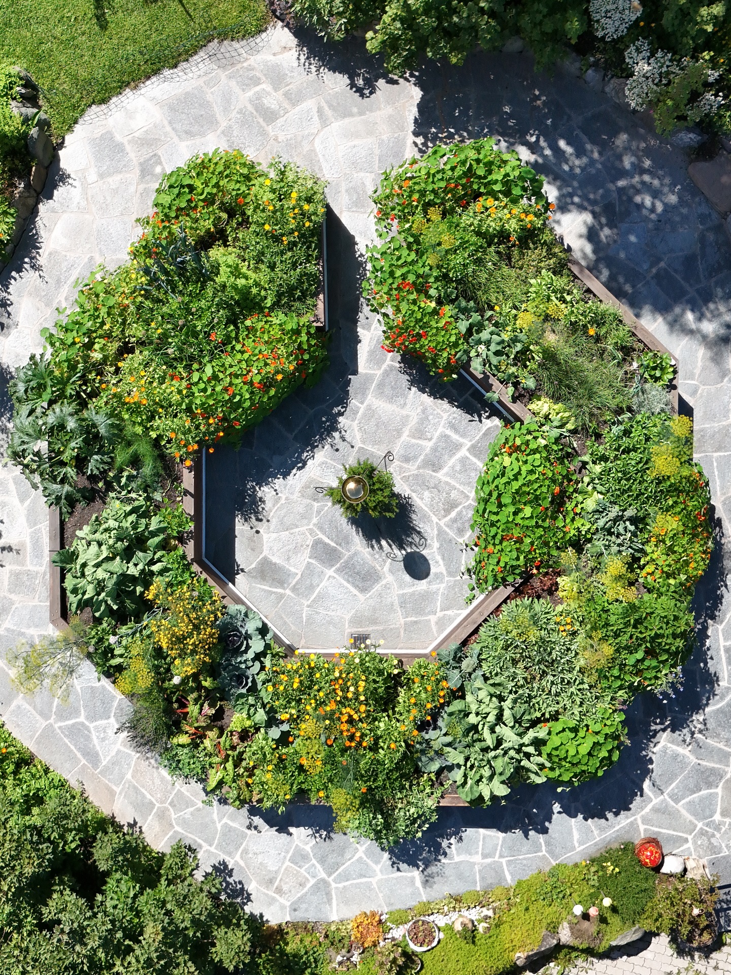 Im Hochbeet am Obersteghof gibt es so einiges zu entdecken. 🌱🌿
#obersteghof #hochbeet #garten #bauernhof