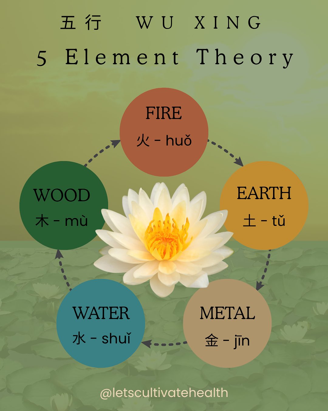 A little glimpse into Five Element Theory.
If you could guess, what element needs balancing for you right now?
💚
#fiveelementtheory #chinesemedicine #acupunctureyeppoon #wearetheearth #findingbalance #beingwell