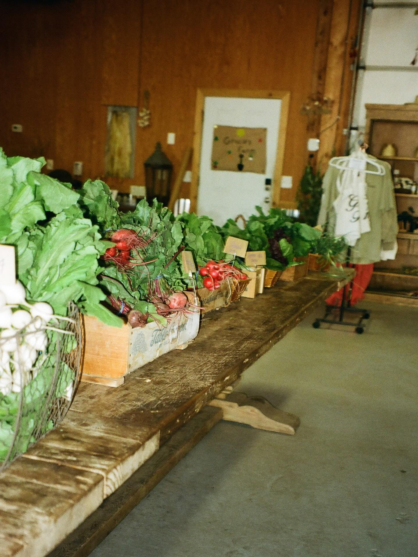 🌻FARM STAND TODAY!!!🌻
We’ve got a big batch of fresh picked veg and local artisanal goods for you today! Come check out what we have in season this week from 4-8pm tonight.
@haleykellydesigns will be here with an array of beautiful jewelry designs.
@smokewoodeats will be serving “the best bbq we’ve ever had” from 5-8pm! First come first serve!
We will see you tonight, thank you for supporting your local growers and makers!
*please leave your pets at home for the safety of our farm animals, thank you in advance*
#farmersmarket #utahfarmstand #farmstandfriday #graciesfarm #marketfarm #utahfarmersmarket #eatlocal #regenerativefarm #localproduce #farmhers #parkcity #localgoods #localart #localmarket #supportsmall