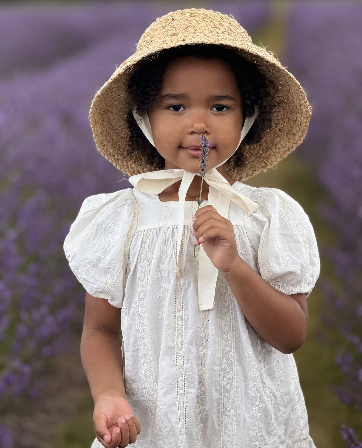 Summer times dans les champs de lavender