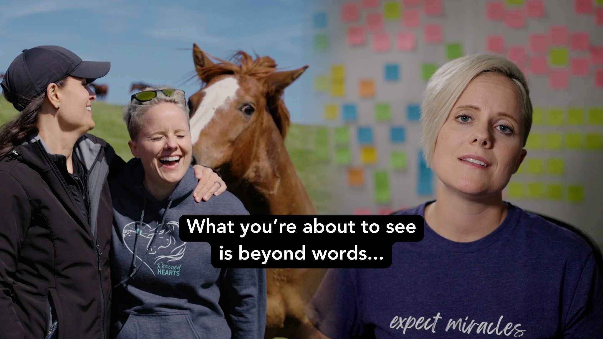 We recorded a short video to share more about why we’re offering the first hour of our film, and to invite you into the heart of this moment. Watch the video on our Live Wild Films YouTube channel: www.youtube.com/livewildfilms
Part 1 of Rescued Hearts is available until July 27, and the outpouring of love has been beyond anything we imagined.
These are just a few of the messages we’ve received in the first day:
“I’m so filled with emotion, I cried throughout. I wish everyone could see this film. If there was ever a time the world needed this, it’s now.” Trish D.
“I am so touched by what you have created…thank you for your inspiration, and the beauty of the music, the scenery, the stories and the singing at the end. I admit I was sobbing by then. Not sadness for sure, but the purity of love.” Lindsay W.
This film was created to remind us of what’s possible when we slow down, listen deeply, and allow ourselves to be transformed by connection.
And tonight, I’d love for you to join us for a special community gathering at 5 PM PT / 8 PM ET.
We’ll be sharing:
- A powerful scene featuring a young woman and her wild Mustang
- A conversation about the magic of the horse-human connection
- Insights from a passionate wild horse advocate
- A music video with breathtaking footage from the Freedom Reigns Equine Sanctuary
We’ll open space for reflection, conversation, and a gentle return to the wild wisdom within us all.
Get your ticket to see part 1 and/or to register for the zoom event at RescuedHeartsFilm.com ❤️
#RescuedHeartsFilm #HealingWithHorses