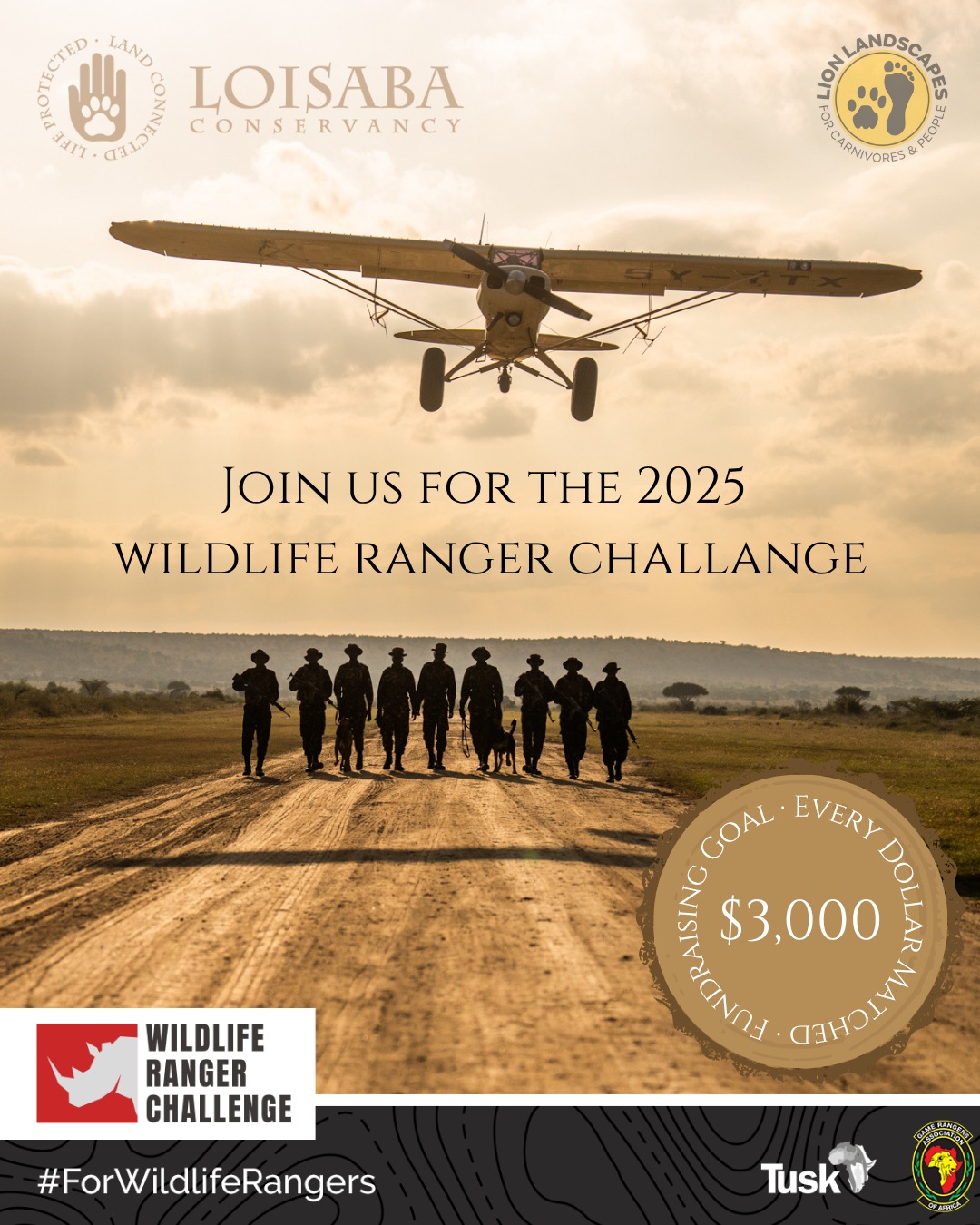 Loisaba Conservancy is proud to be part of the 2025 Wildlife Ranger Challenge, launching today!
Our fundraising goal: $3,000 — to directly support Loisaba’s frontline rangers in protecting 58,000 acres of critical wildlife habitat. Your donation will help fund anti-poaching patrols, habitat protection for endangered species like rhinos, elephants and Grevy’s zebra, and vital work with our neighbouring communities.
Throughout the challenge, Loisaba’s rangers will take part in a series of activities designed to test their skills, strength and knowledge — from conservation quizzes to fitness assessments and a 21km endurance run. These events highlight the incredible commitment and capability of Africa’s ranger workforce.
The Wildlife Ranger Challenge, organised by @tusk_org and culminating on 20th September, celebrates the diverse roles of rangers — conservationists, teachers, community support workers, and leaders. Their work aligns with the UN Sustainable Development Goals, creating benefits far beyond the protected areas they serve.
Yet despite their critical contributions, 88.6% of rangers in Africa have faced life-threatening situations, and many lack basic insurance protections. In partnership with the Game Rangers Association of Africa, this challenge helps ensure rangers across the continent receive the recognition, support and resources they deserve.
At Loisaba, every dollar raised goes towards equipment, training, and operational support to keep our rangers safe and effective. Your donation will be matched by Mark Scheinberg, doubling its impact.
Together, we can help protect those who protect Africa’s wildlife.
↪️ Link in Bio to donate
#WildlifeRangerChallenge #ForWildlifeRangers #LoisabaConservancy #LandConnectedLifeProtected #FrontlineConservation #RangersLeadTheWay #RhinoProtection #ProtectWildlife #TuskTrust #ConservationInAction #LaikipiaConservation #SupportOurRangers @gamerangersassociationofafrica