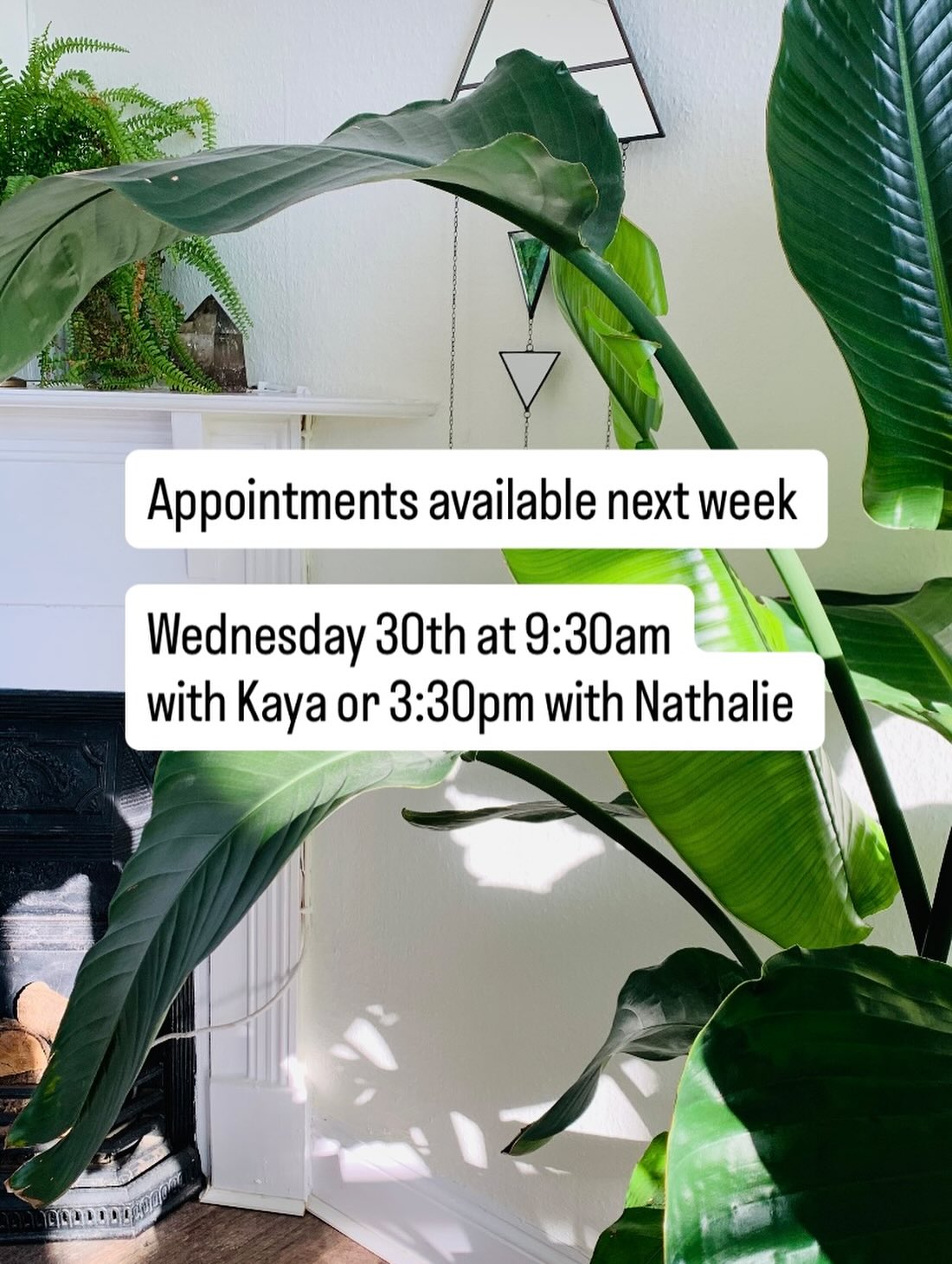 Appointments available next week.
Wednesday 30th at 9:30am with Kaya or 3:30pm with Nathalie.
Email to book
kaya@essential-therapies.co.uk
