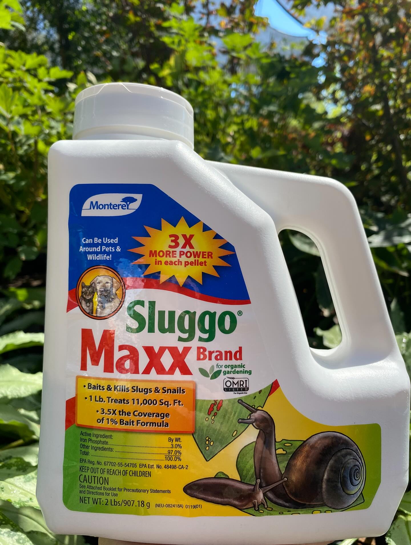 Sluggo is back in stock! 🐌🚫