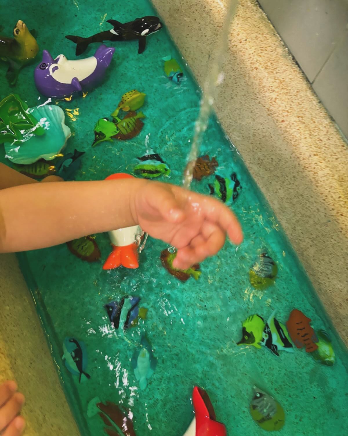 Qui al Nido di Bhu-m siamo pronti a vivere un fantastica estate, che sia al mare o in montagna! 🏖️⛰️
Vi auguriamo una buona estate! 🥰