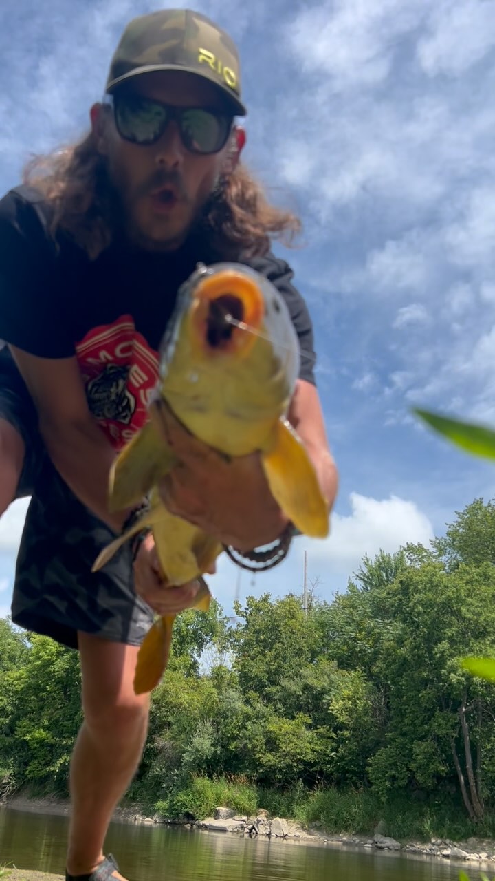 The kind of fish that leaves your hands shaking and your heart full. This one earned its place in the memory bank. Anybody else out there chasing carp?
#FlyFishing #MichiganFishing #CarpCatch #ReadTheRiver #ShenandoahValleyAdventureCo #FlyFishingFamily