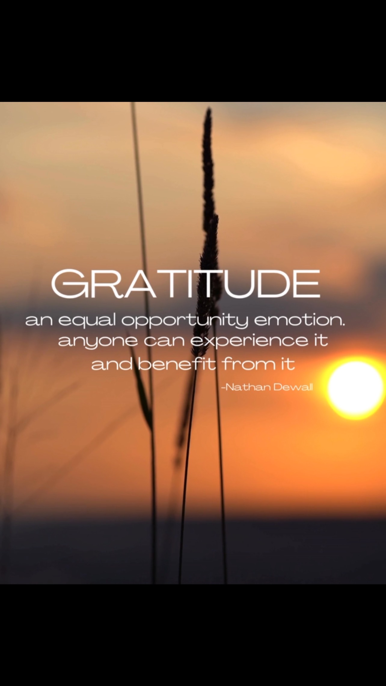 Did you know, when we practice gratitude—whether by journaling, speaking it aloud, or simply pausing to feel it-our brain releases dopamine and serotonin, the “feel-good” chemicals that support emotional regulation, resilience, and even better sleep.
Just as consistent acupuncture treatments can retrain the brain to focus on what’s working, therefore fostering resilience and deeper healing. We begin to shift ourselves from a state of stress to one of calmness and connection.
Start here and start small: write in the comments what are you grateful for today? 💛
#acupuncture #holistichealth #NervousSystemRegulation #breatheeasywellness
#DailyRituals #naturalhealing #traditionalchinesemedicine