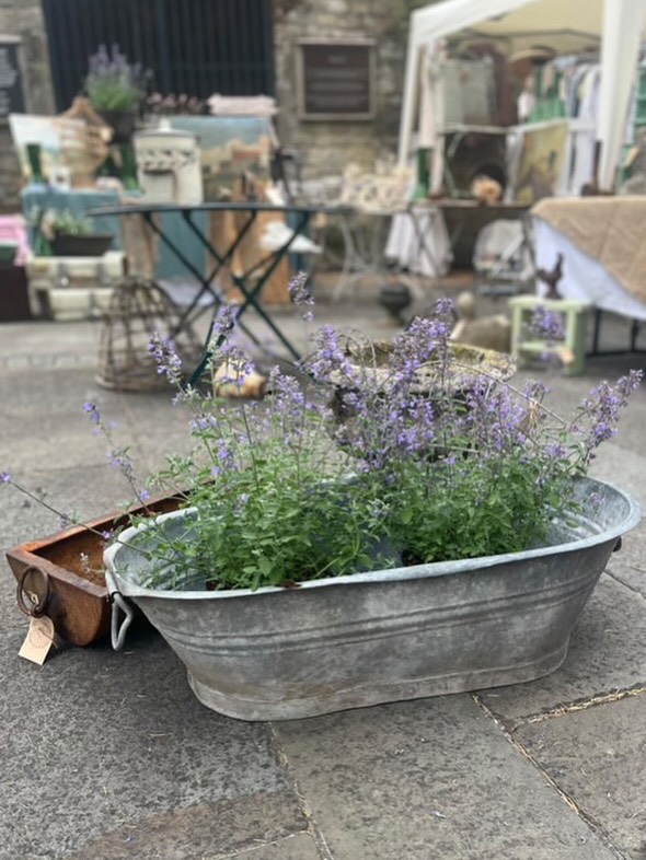 Introducing our Exhibitors 🤍
@lottiegirlingvintagehomegarden
Think of summer days in an English country garden, with roses entwined, and honeysuckle and geraniums scrambling in the borders amongst vintage terracotta pots and planters🌿
We always think of Lottie @lottiegirlingvintagehomegarden who sources vintage zinc planters and tubs, antique gardenalia and rustic finds which are just perfect for a cottage garden 🌸
Come and meet Lottie at the Summer Brocante @moylescourt on 25th August and enjoy relaxed late summer shopping in the New Forest 🌿
Monday 25th August 🎪
10 - 4pm
Moyles Court School
Nr Ringwood
New Forest
Tickets are now on sale through our website - see link in bio above 🎟️ or buy them on the gate when you arrive
All tickets £7:50 | U14 free 🎟️
Dogs on leads welcome 🐕
Free parking on site 🚙
Accessible parking & facilities 🚗
Artisan Food Stalls within the Fair 🍕 🧁 ☕️🍦
The full List of Exhibitors taking part is available on our website (see link above)
We look forward to seeing you soon!